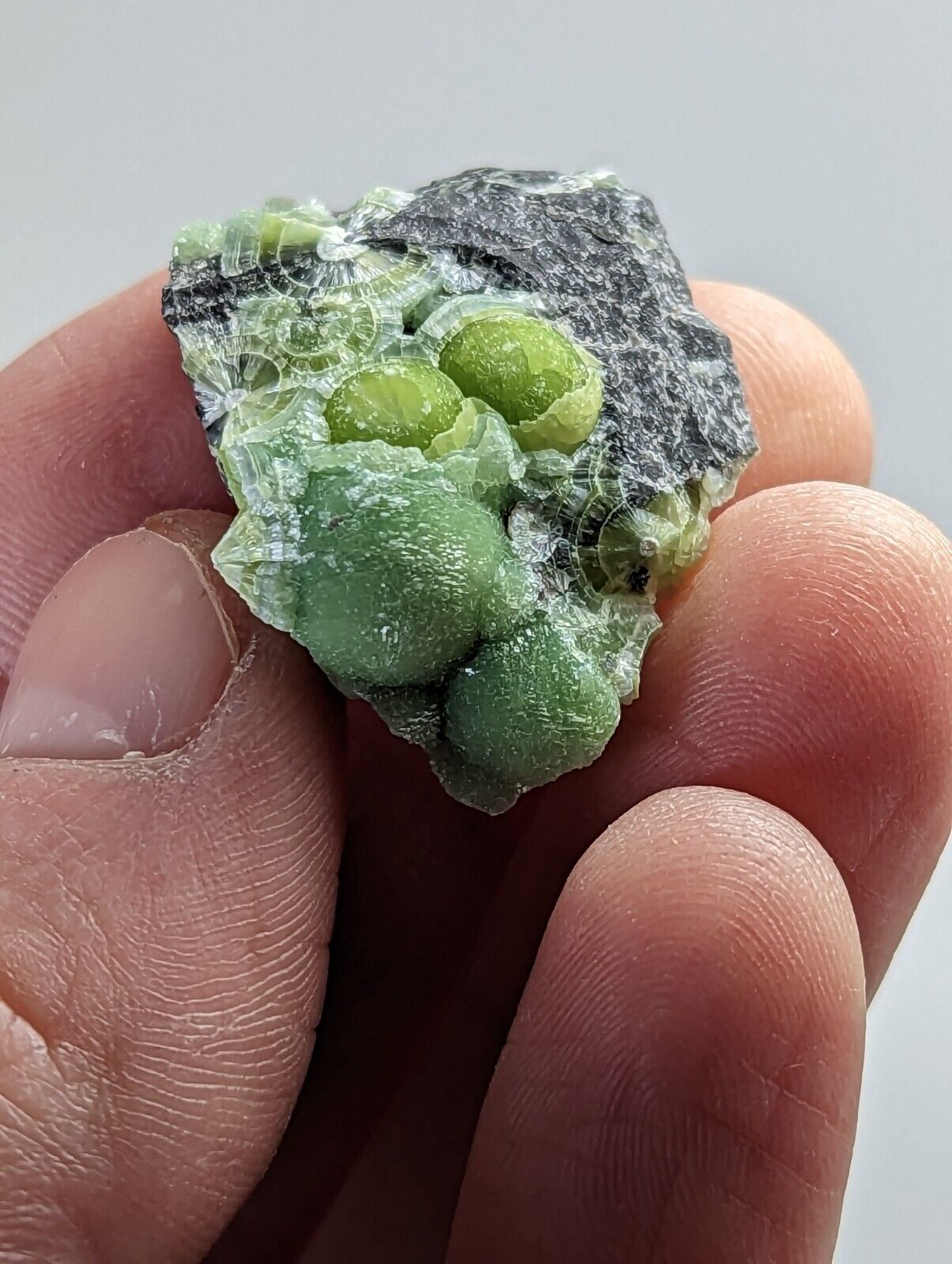 Green Wavellite - Fantastic 1990s Old Stock - Mauldin Mountain Arkansas - Collectibles:Rocks Fossils &