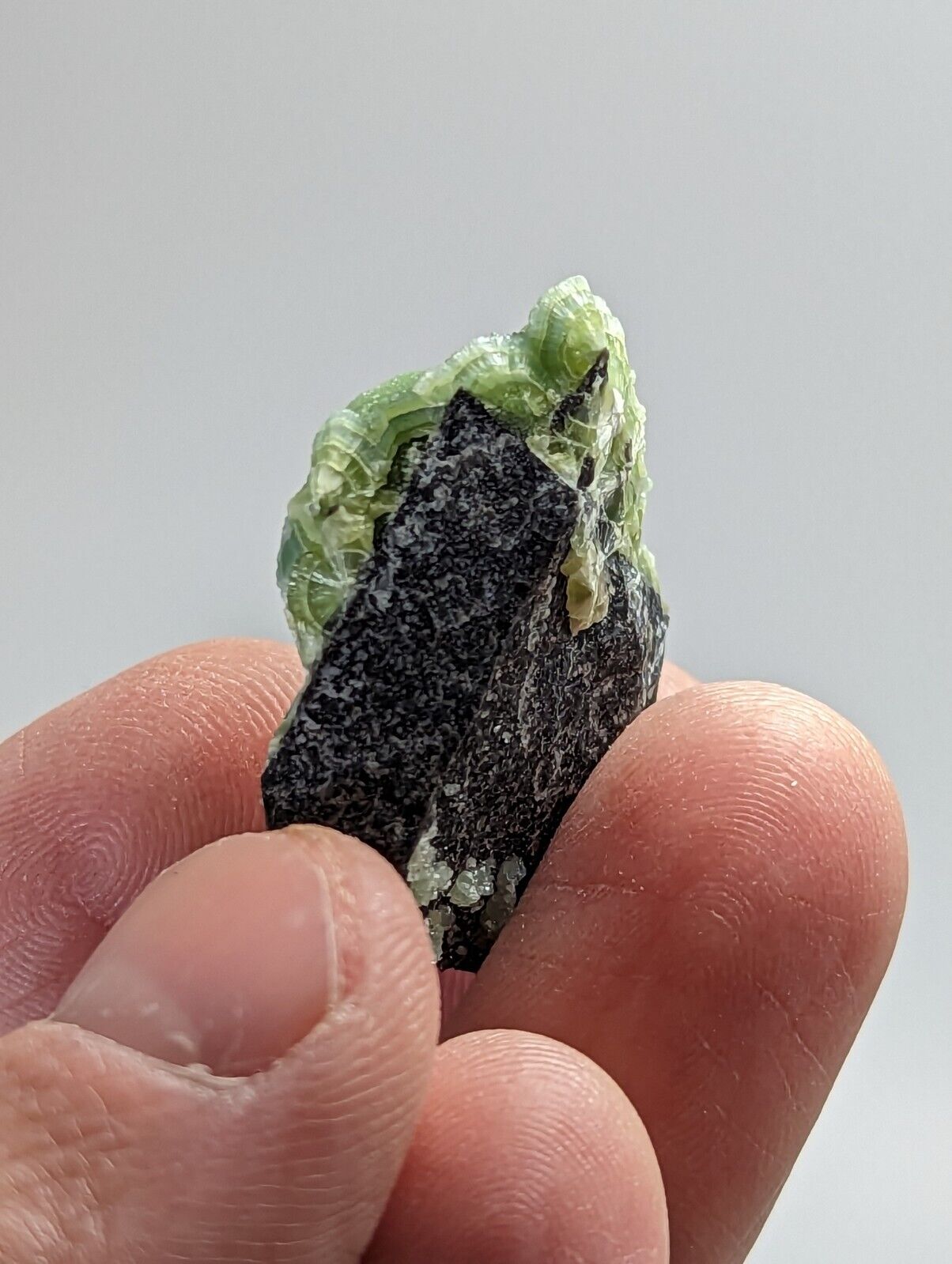 Green Wavellite - Fantastic 1990s Old Stock - Mauldin Mountain Arkansas - Collectibles:Rocks Fossils &