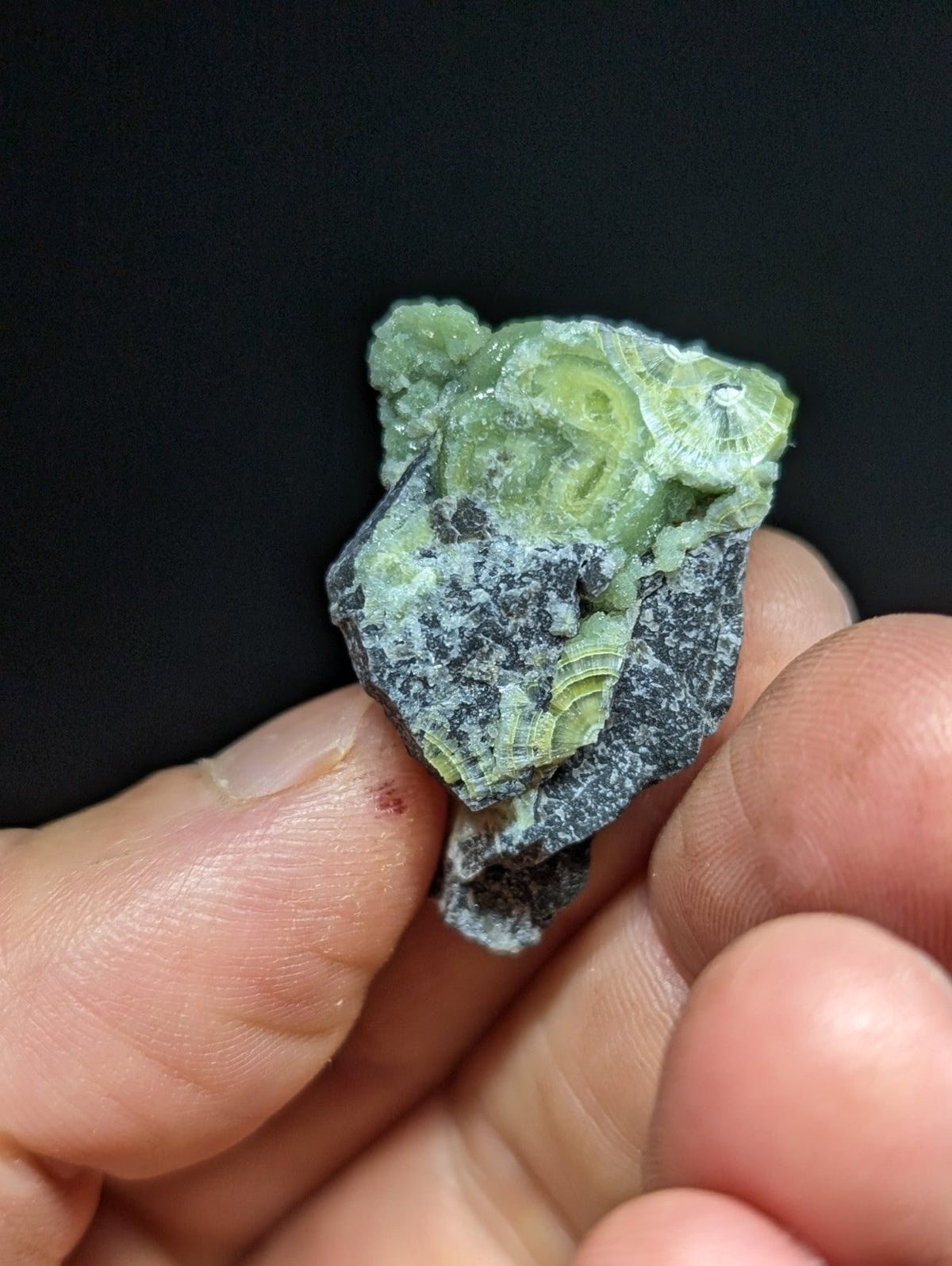 A green, textured mineral specimen with layered patterns and a dark gray matrix.