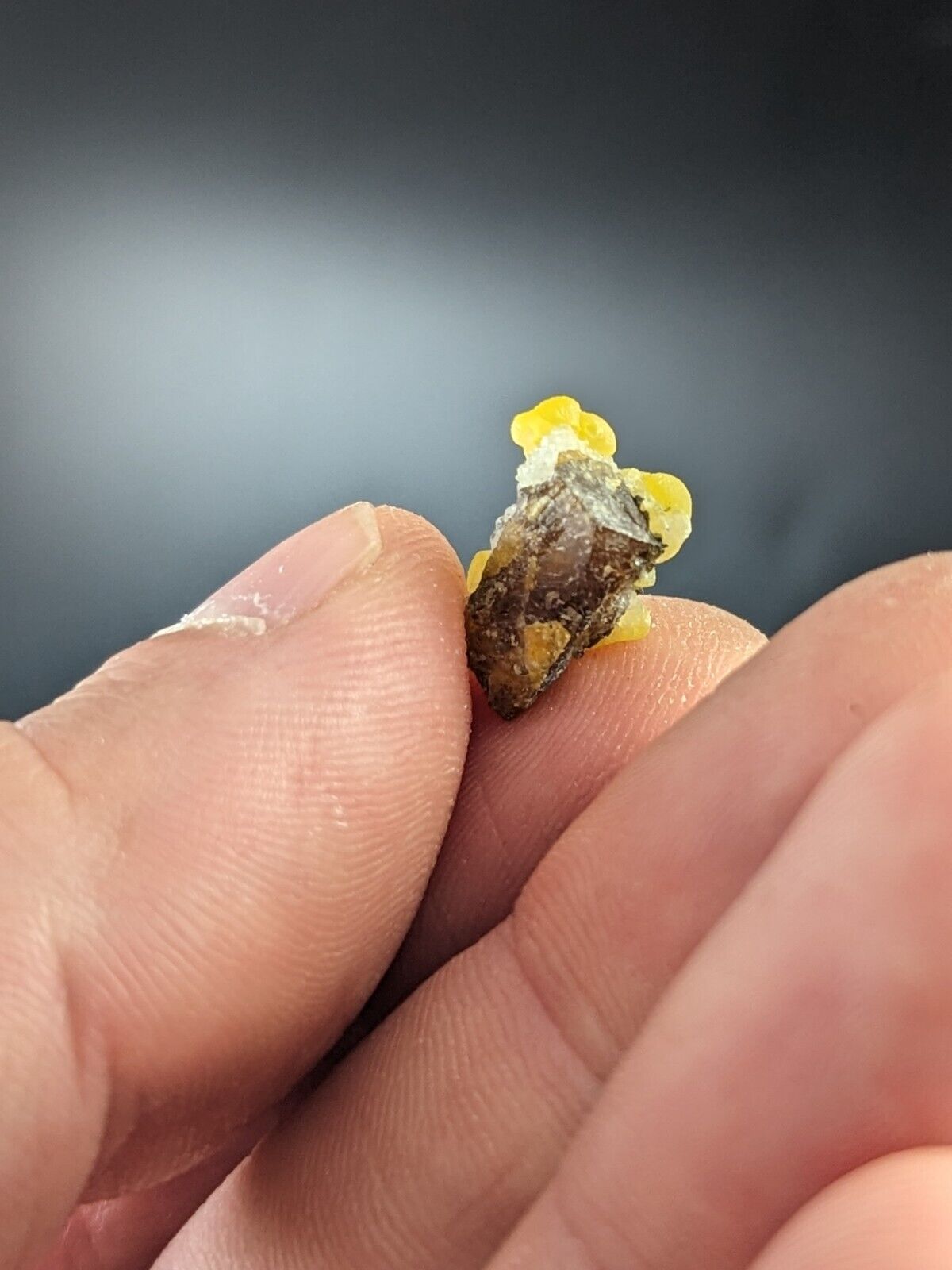 Greenockite included Smithsonite on Sphalerite + Quartz marion county arkansas - Collectibles:Rocks Fossils &