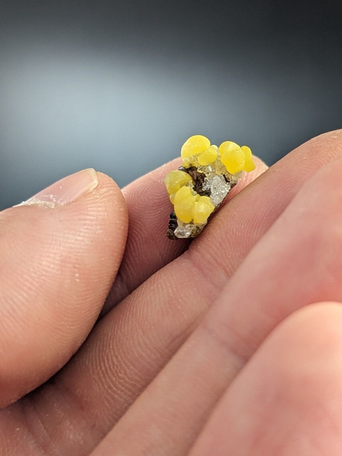 Greenockite included Smithsonite on Sphalerite + Quartz marion county arkansas - Collectibles:Rocks Fossils &