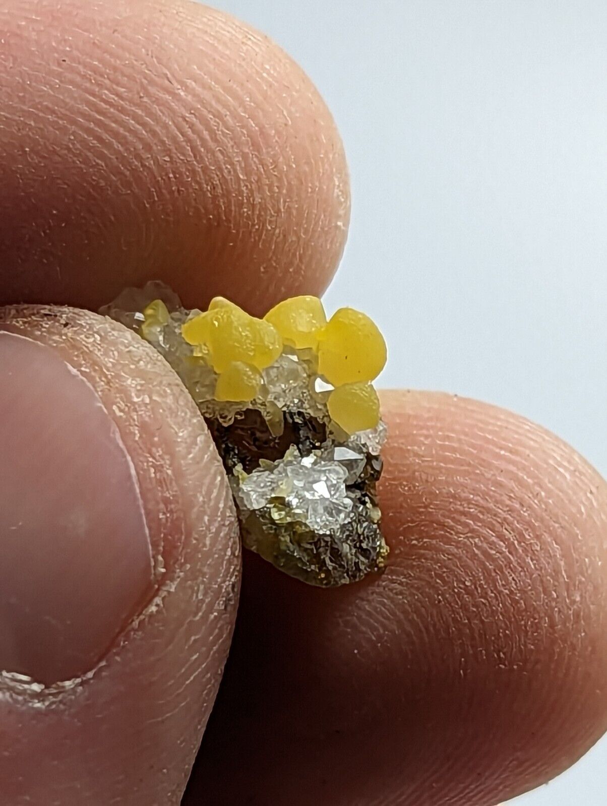 Greenockite Included Smithsonite on Sphalerite + Rush Creek Marion co Arkansas - Collectibles:Rocks Fossils &