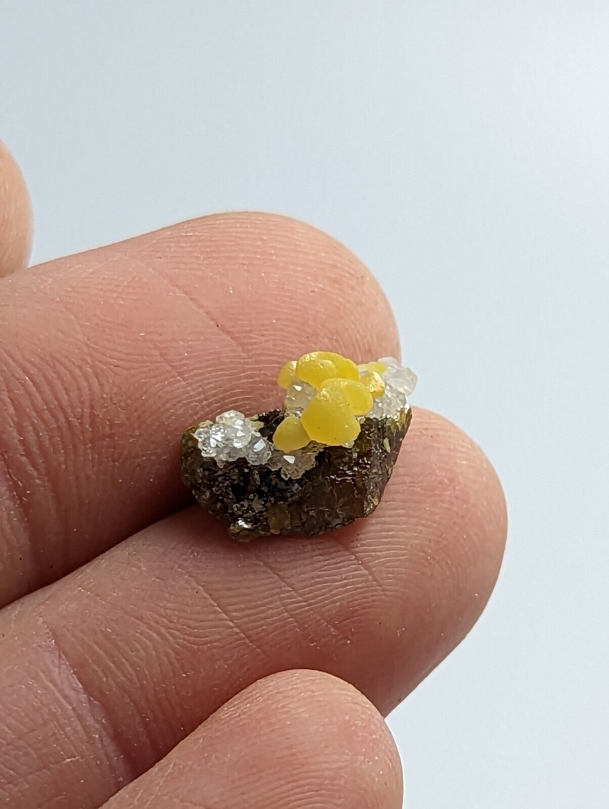 Greenockite Included Smithsonite on Sphalerite + Rush Creek Marion co Arkansas - Collectibles:Rocks Fossils &