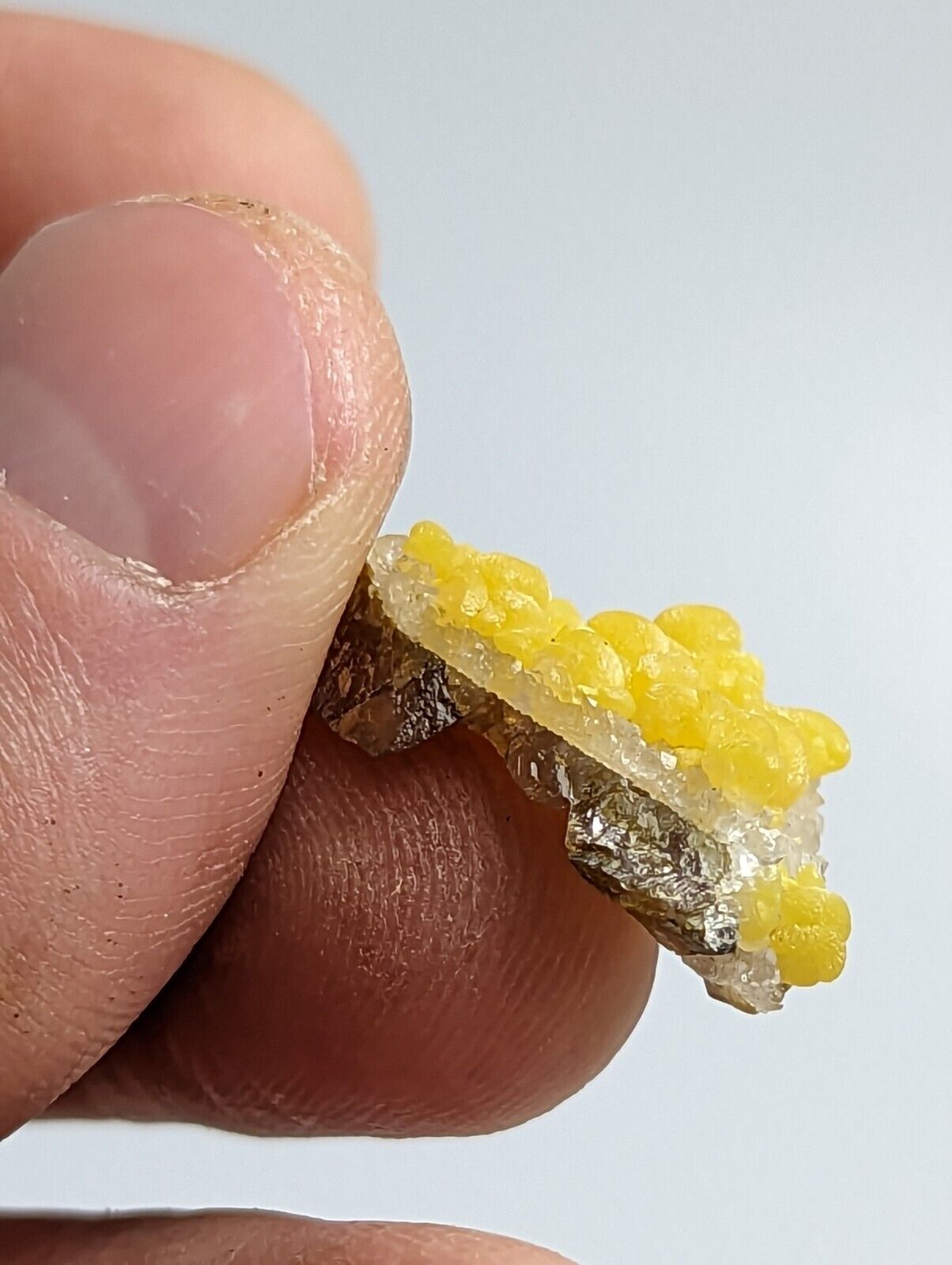 Greenockite Included Smithsonite on Sphalerite + Rush Creek Marion co Arkansas - Collectibles:Rocks Fossils &
