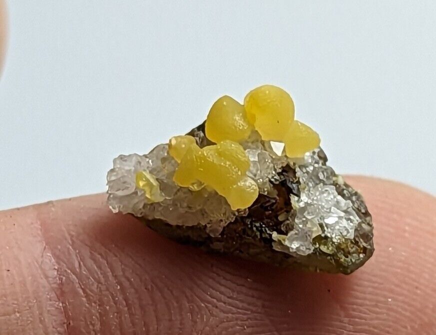Greenockite Included Smithsonite on Sphalerite + Rush Creek Marion co Arkansas - Collectibles:Rocks Fossils &