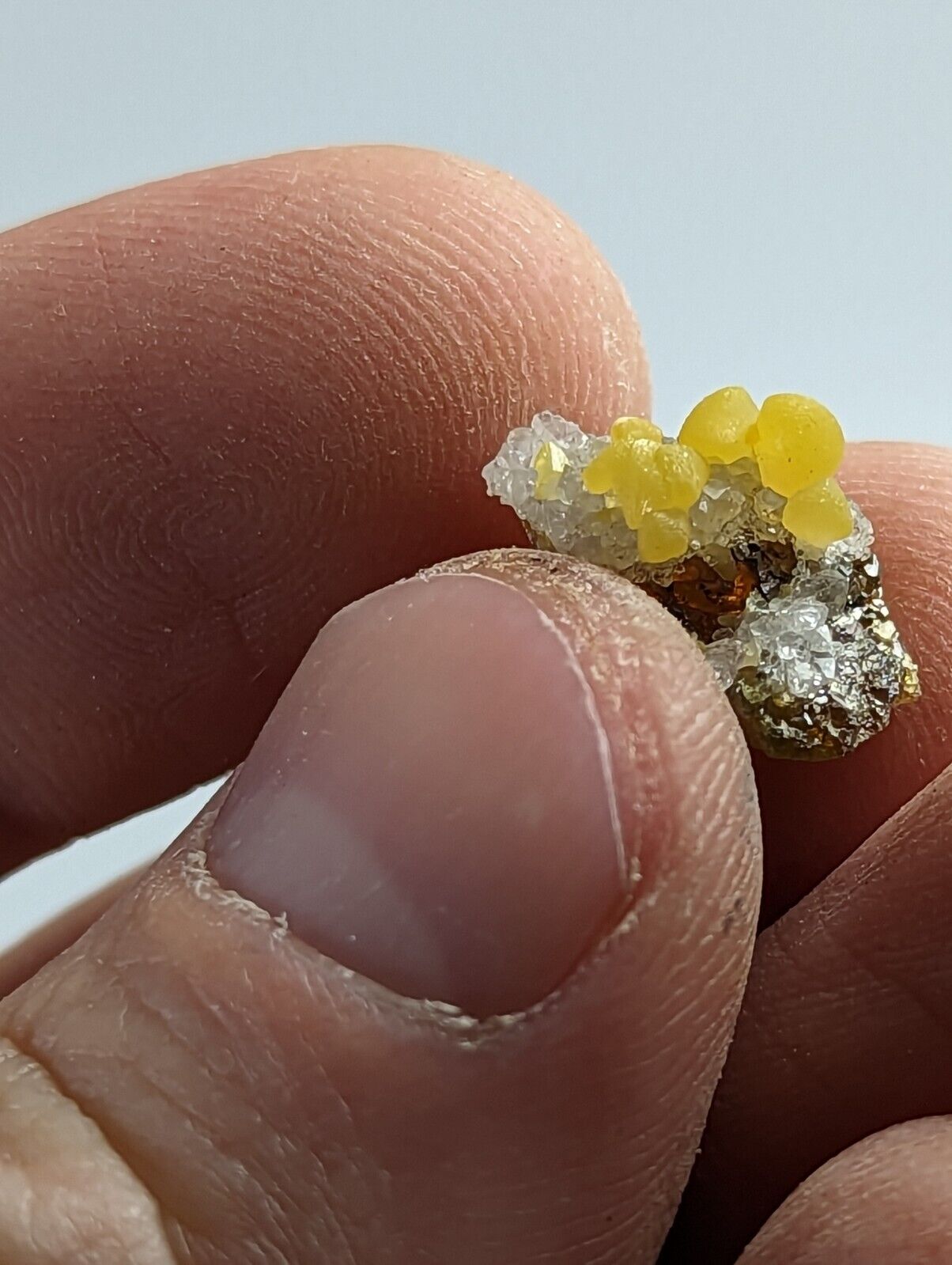 Greenockite Included Smithsonite on Sphalerite + Rush Creek Marion co Arkansas - Collectibles:Rocks Fossils &
