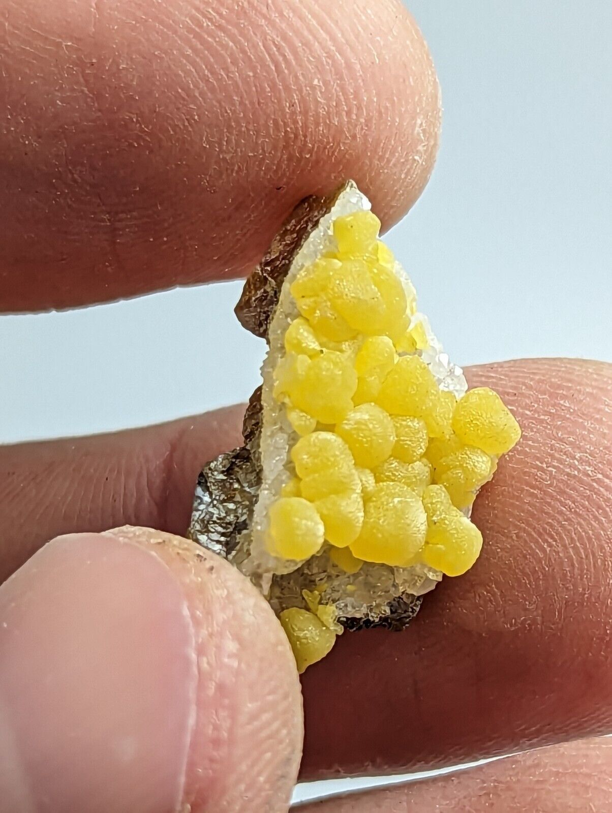 Greenockite Included Smithsonite on Sphalerite + Rush Creek Marion co Arkansas - Collectibles:Rocks Fossils &