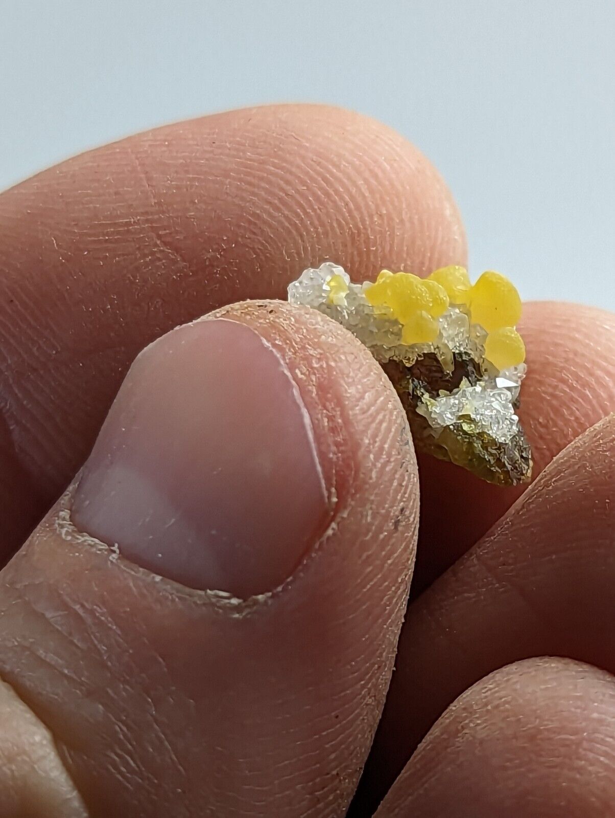 Greenockite Included Smithsonite on Sphalerite + Rush Creek Marion co Arkansas - Collectibles:Rocks Fossils &