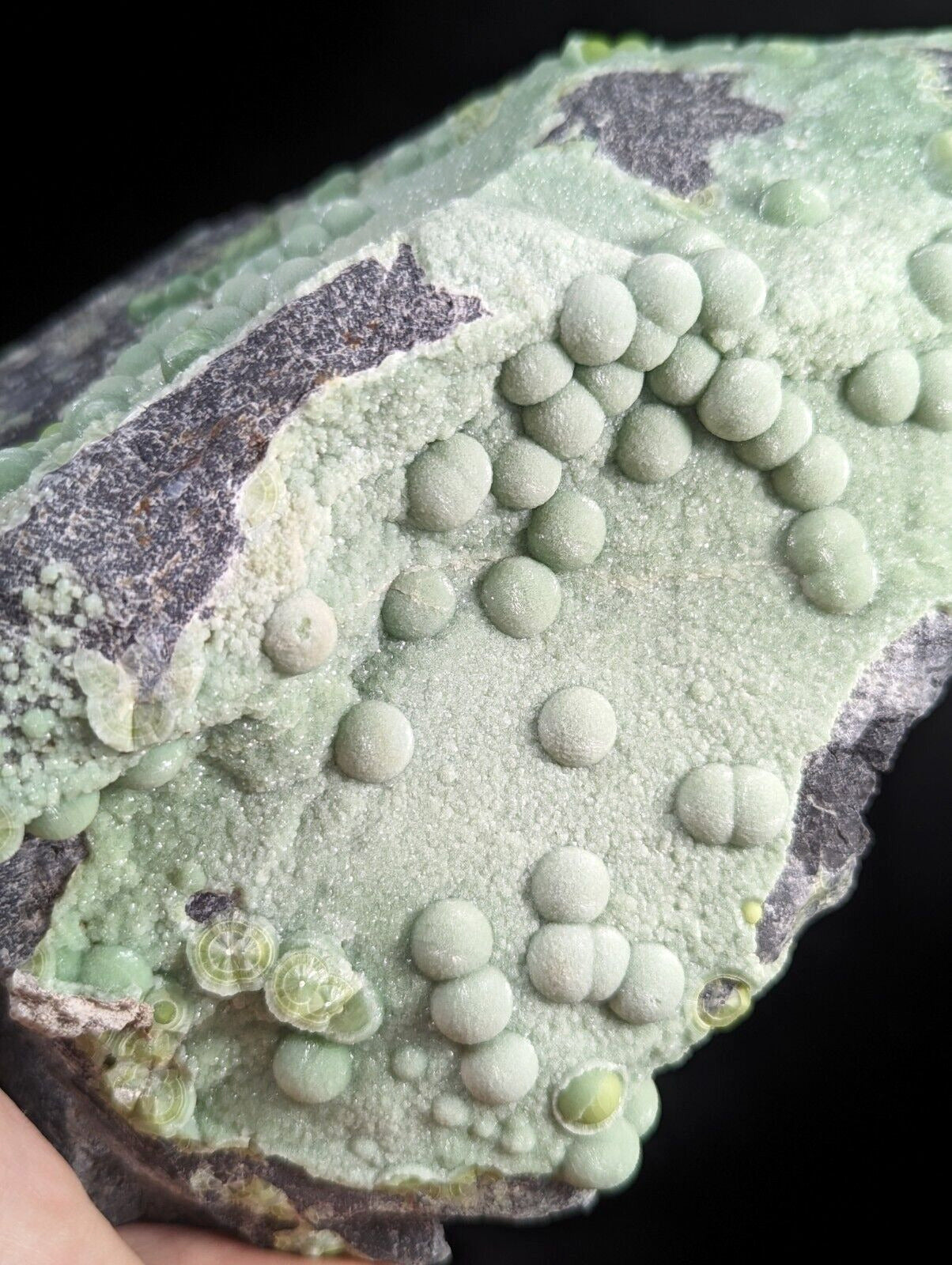 Huge Wavellite - Fantastic Old Stock - Mauldin Mountain Arkansas Self Stands! - Collectibles:Rocks Fossils &