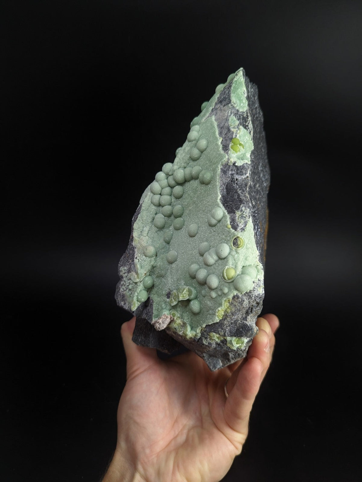 A hand holds a striking geological specimen featuring clusters of pale green, spherical nodules growing from a dark gray rock base.
