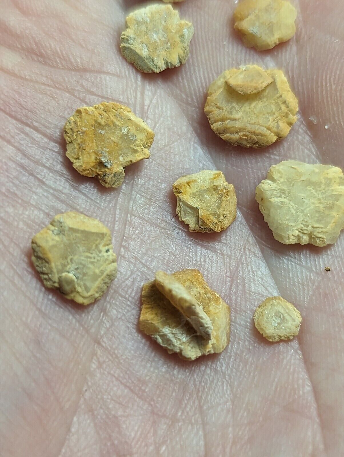 Jeffrey Quarry Ankerite Ultra Rare and Unique Arkansas Old Stock set of 10 - Collectibles:Rocks Fossils &