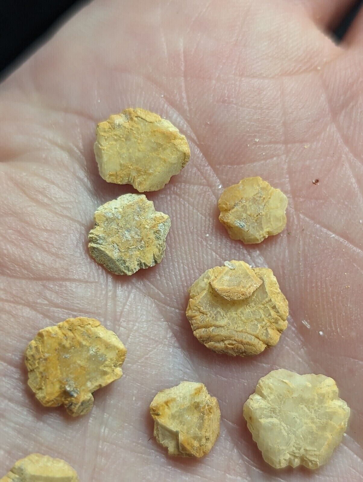 Jeffrey Quarry Ankerite Ultra Rare and Unique Arkansas Old Stock set of 10 - Collectibles:Rocks Fossils &
