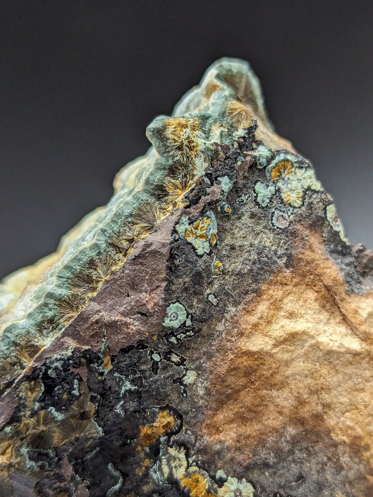 Kidwellite Dufrenite Beraunite etc (VERY RARE 3 Oaks Gap Polk Co. Arkansas) - Collectibles:Rocks Fossils &