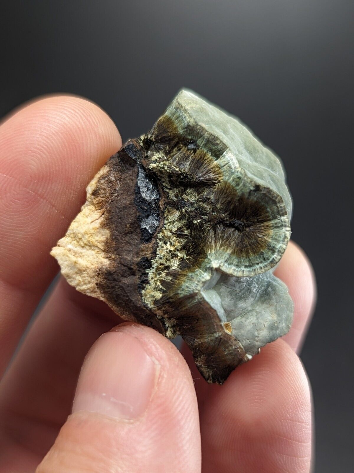 Kidwellite Dufrenite Beraunite etc (VERY RARE 3 Oaks Gap Polk Co. Arkansas) - Collectibles:Rocks Fossils &