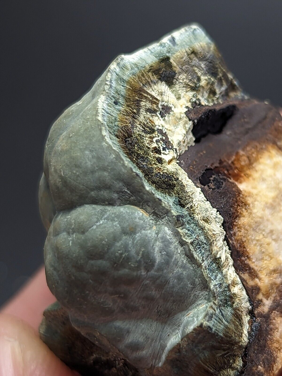 Kidwellite Dufrenite Beraunite etc (VERY RARE 3 Oaks Gap Polk Co. Arkansas) - Collectibles:Rocks Fossils &