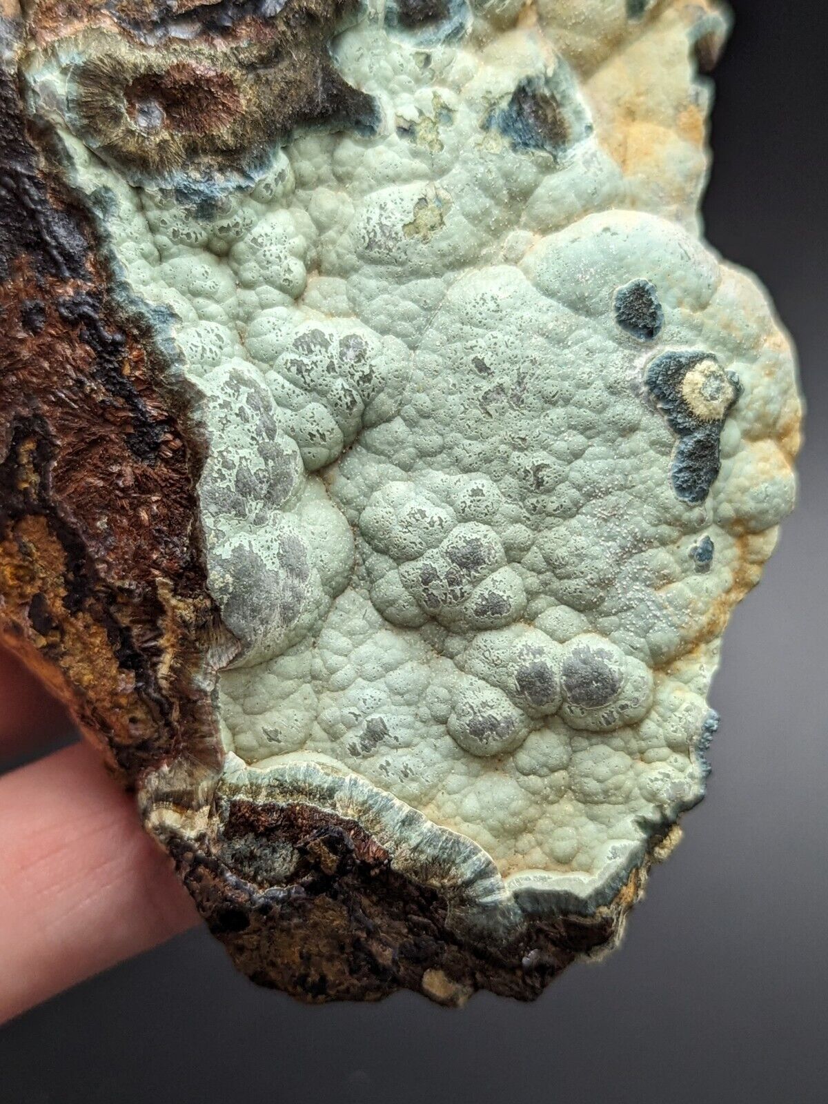 Kidwellite Dufrenite Beraunite etc (VERY RARE 3 Oaks Gap Polk Co. Arkansas) - Collectibles:Rocks Fossils &