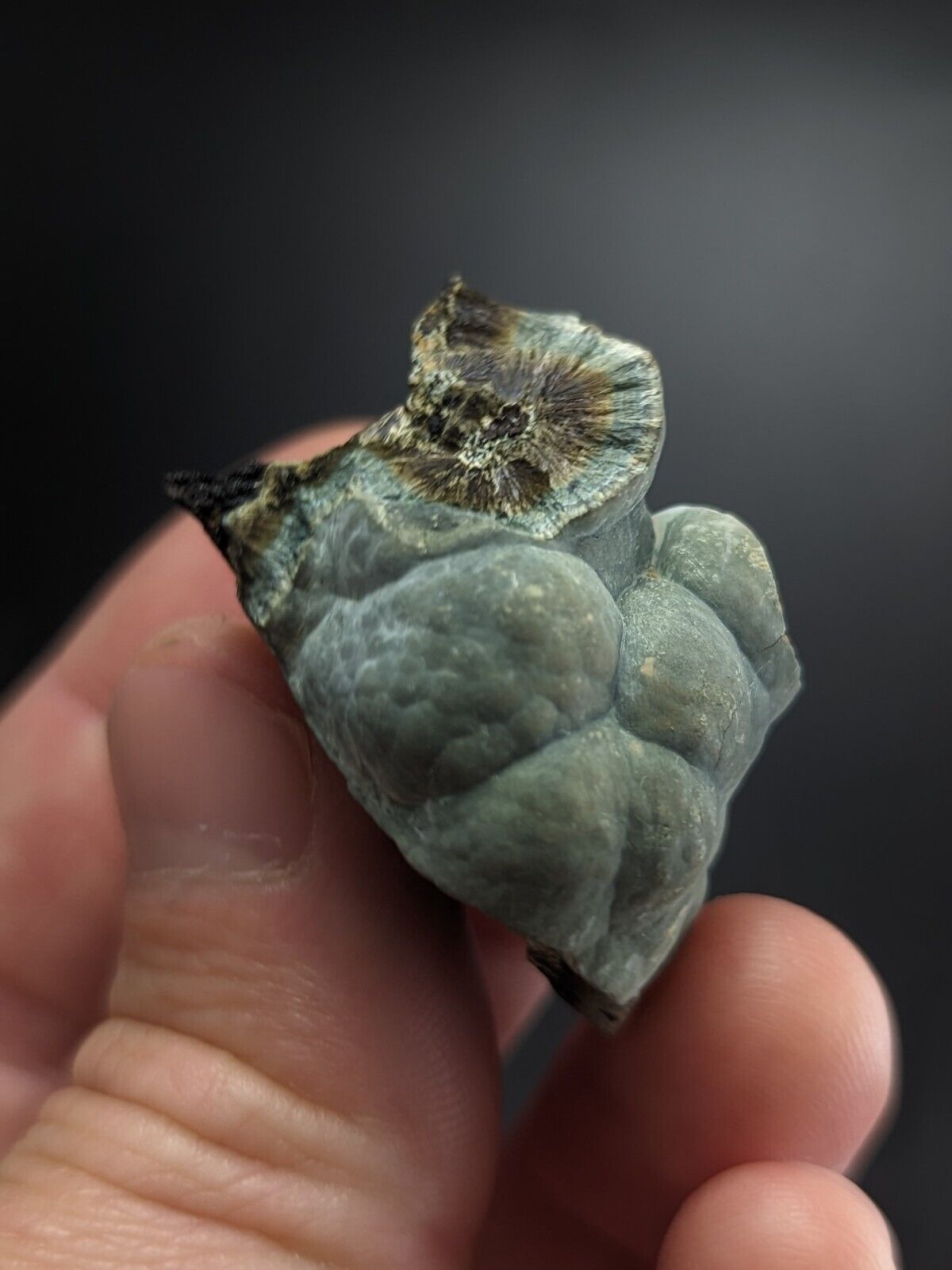 Kidwellite Dufrenite Beraunite etc (VERY RARE 3 Oaks Gap Polk Co. Arkansas) - Collectibles:Rocks Fossils &