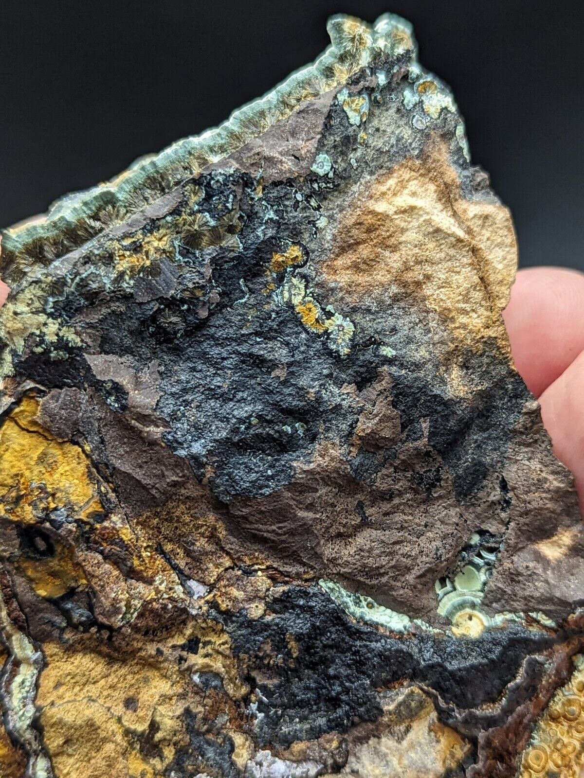 Kidwellite Dufrenite Beraunite etc (VERY RARE 3 Oaks Gap Polk Co. Arkansas) - Collectibles:Rocks Fossils &
