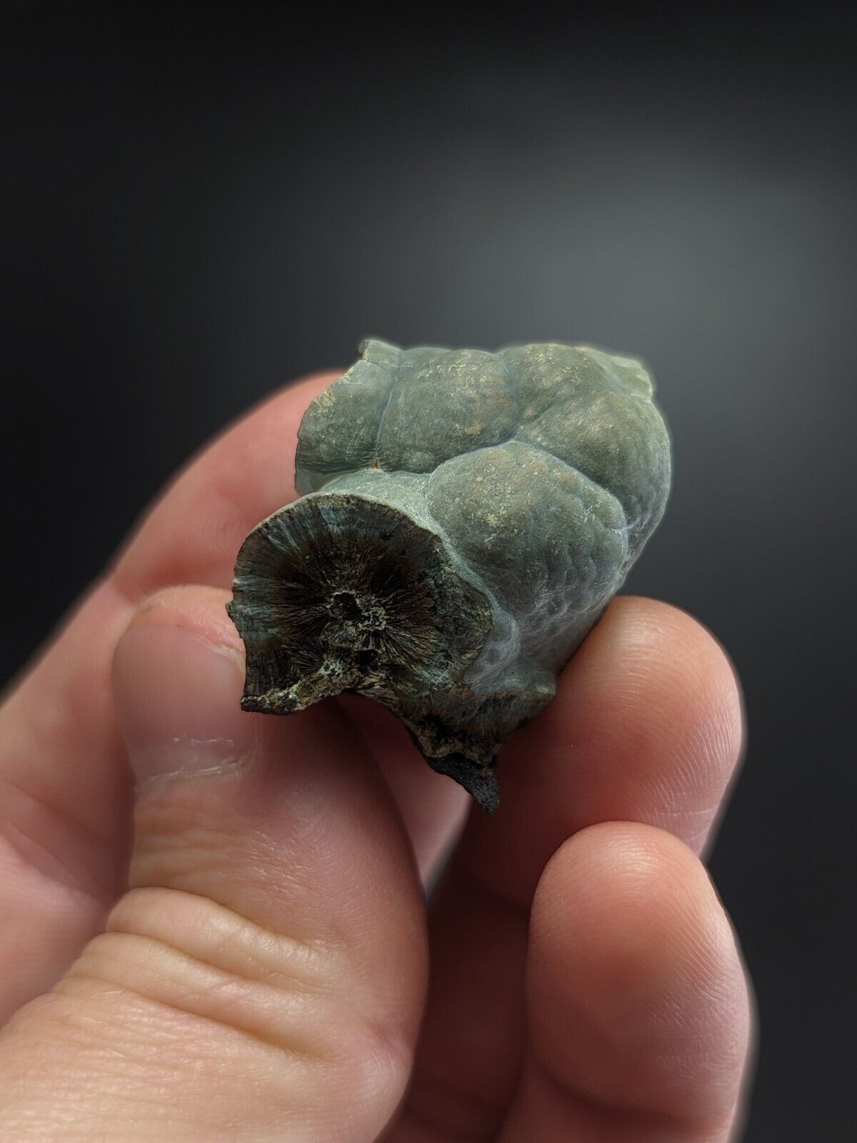 Kidwellite Dufrenite Beraunite etc (VERY RARE 3 Oaks Gap Polk Co. Arkansas) - Collectibles:Rocks Fossils &