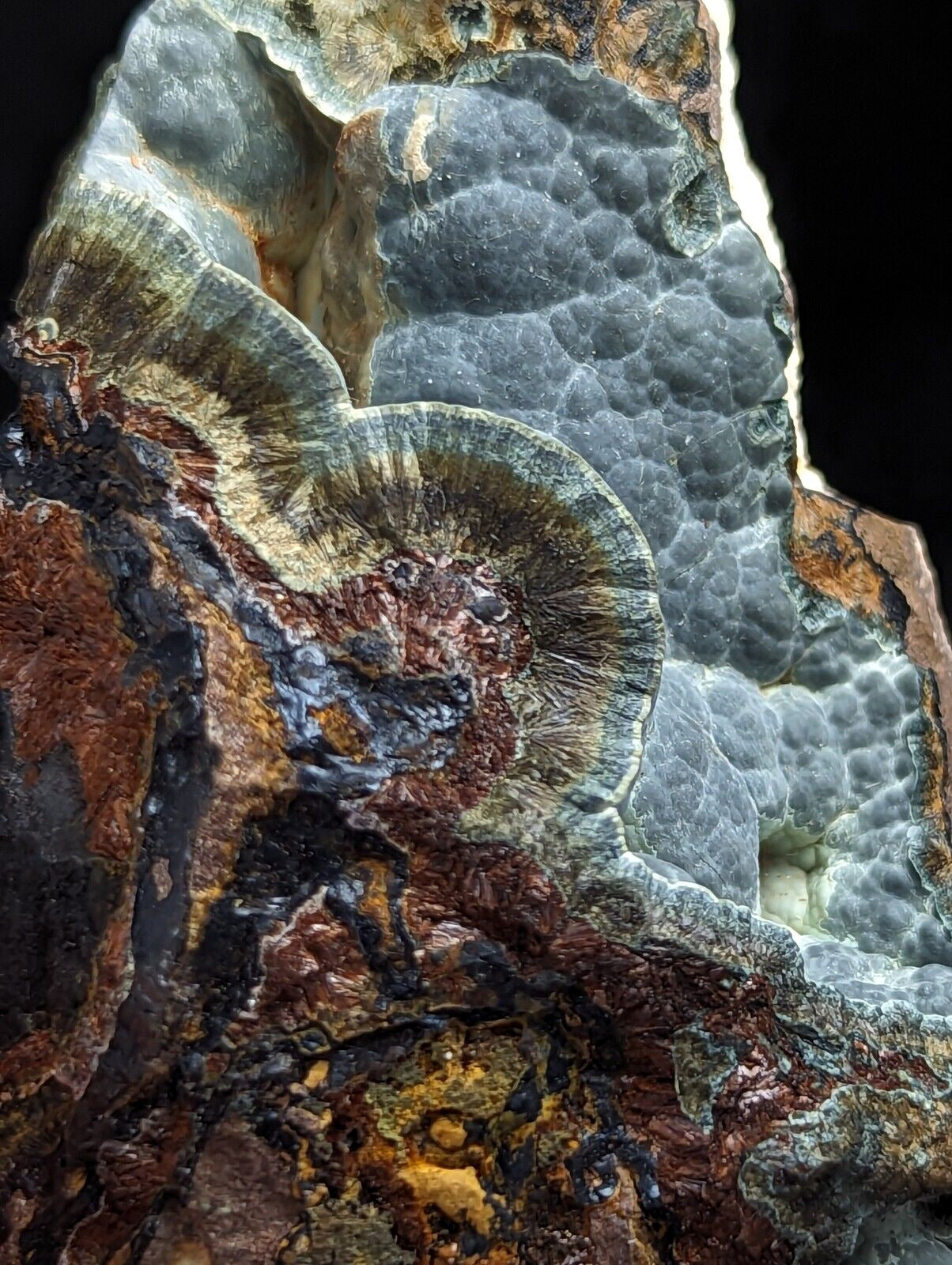 Kidwellite Dufrenite Beraunite etc (VERY RARE 3 Oaks Gap Polk Co. Arkansas) - Collectibles:Rocks Fossils &