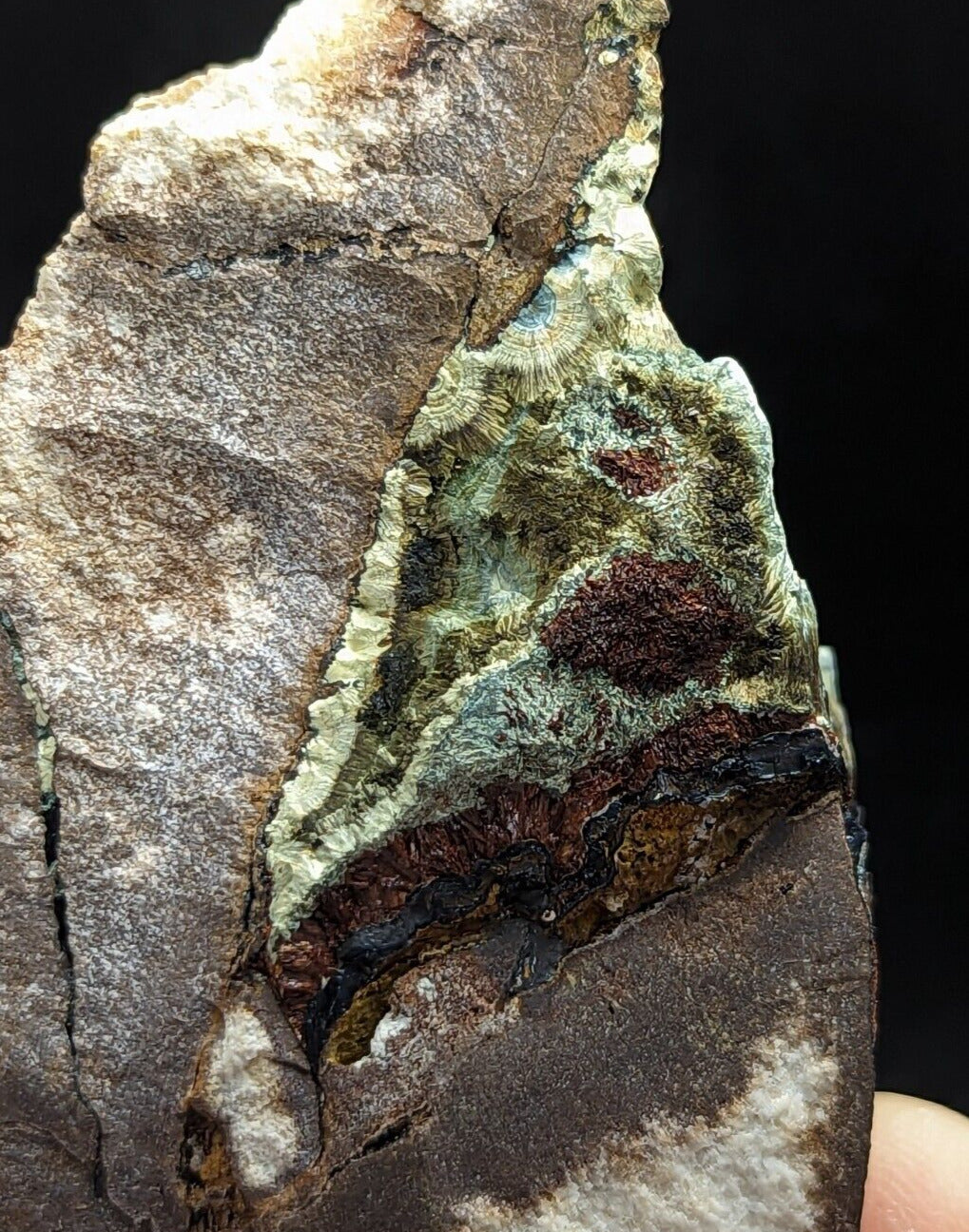 Kidwellite Dufrenite Beraunite etc (VERY RARE 3 Oaks Gap Polk Co. Arkansas) - Collectibles:Rocks Fossils &