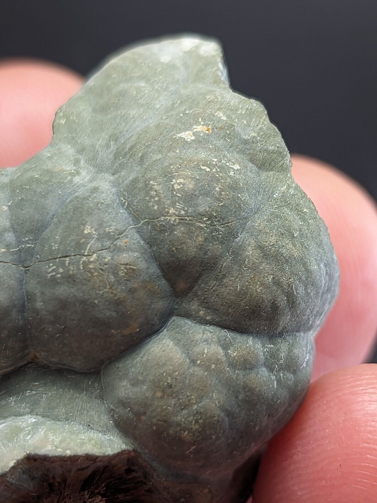 Kidwellite Dufrenite Beraunite etc (VERY RARE 3 Oaks Gap Polk Co. Arkansas) - Collectibles:Rocks Fossils &