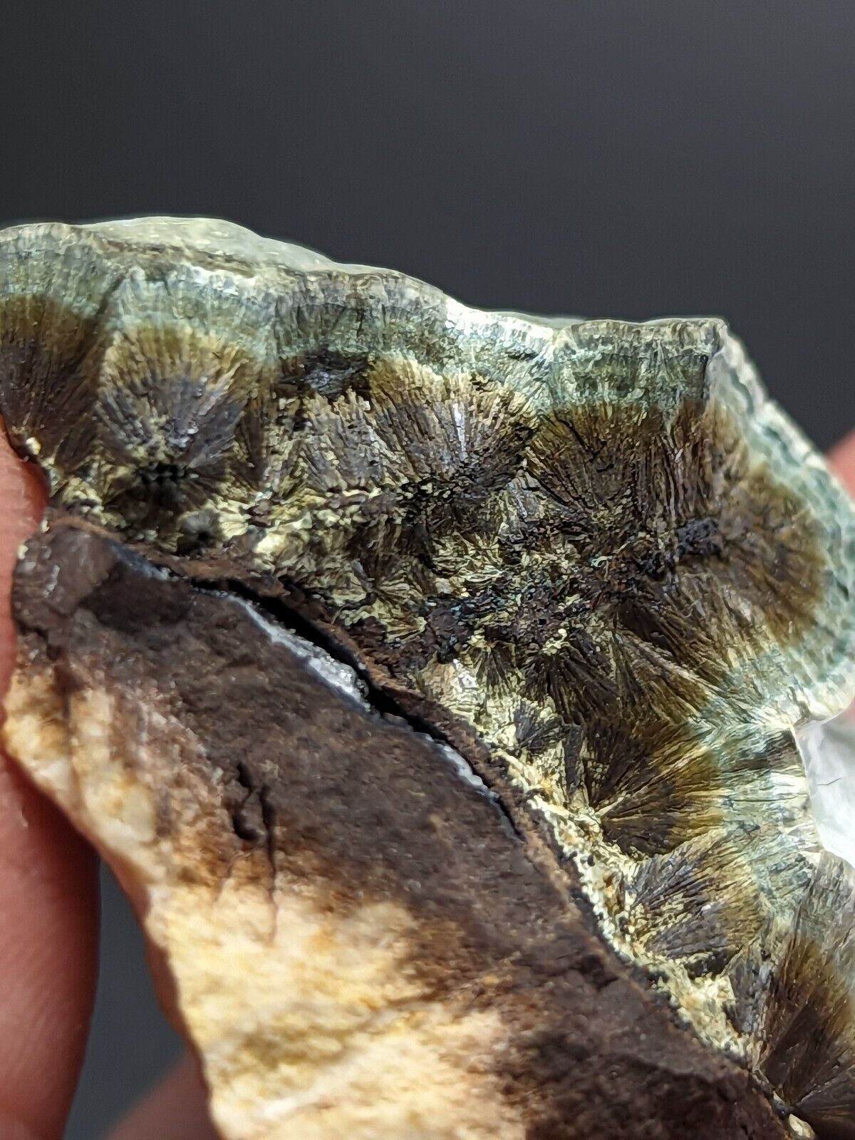 Kidwellite Dufrenite Beraunite etc (VERY RARE 3 Oaks Gap Polk Co. Arkansas) - Collectibles:Rocks Fossils &