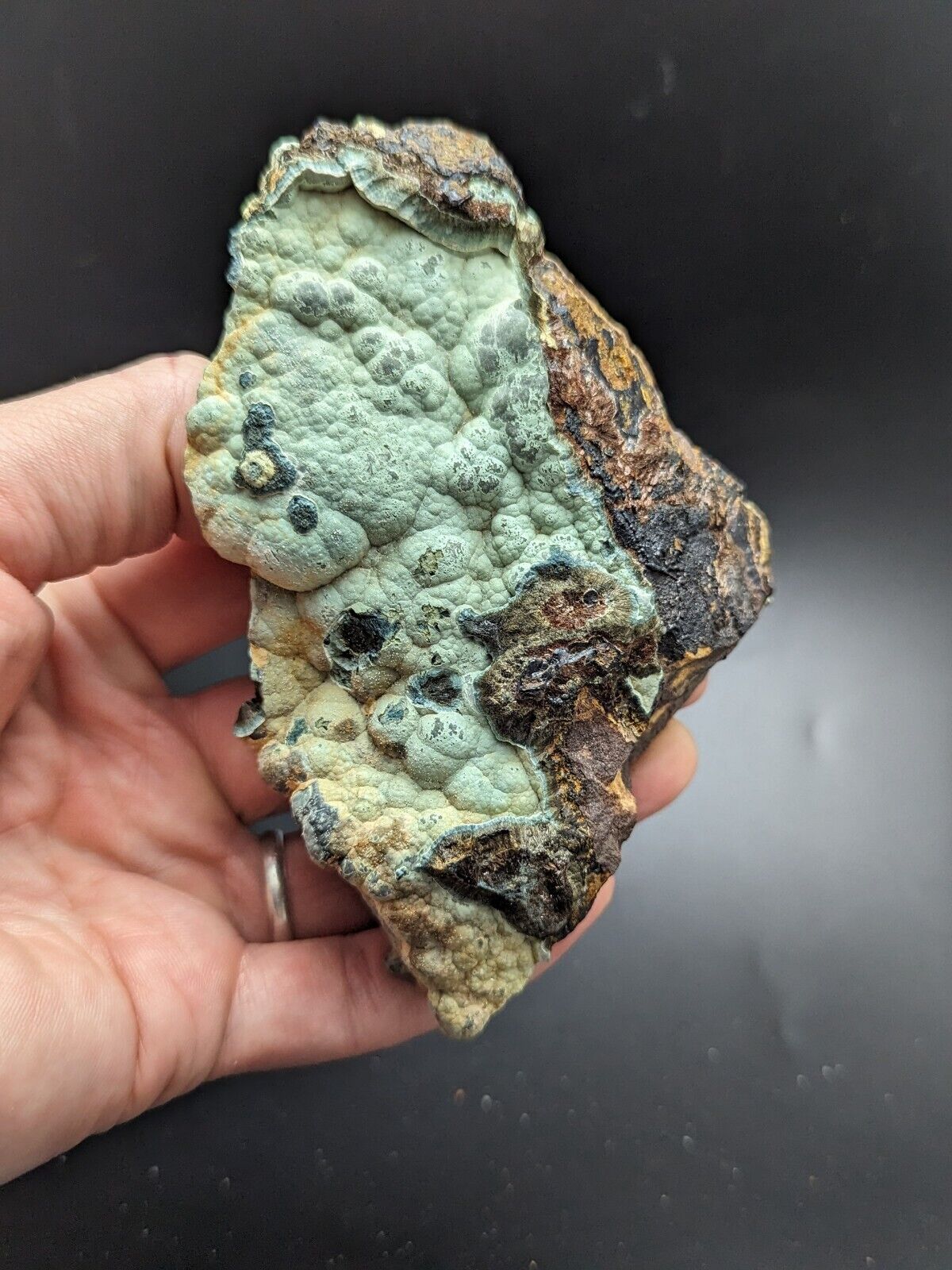 Kidwellite Dufrenite Beraunite etc (VERY RARE 3 Oaks Gap Polk Co. Arkansas) - Collectibles:Rocks Fossils &