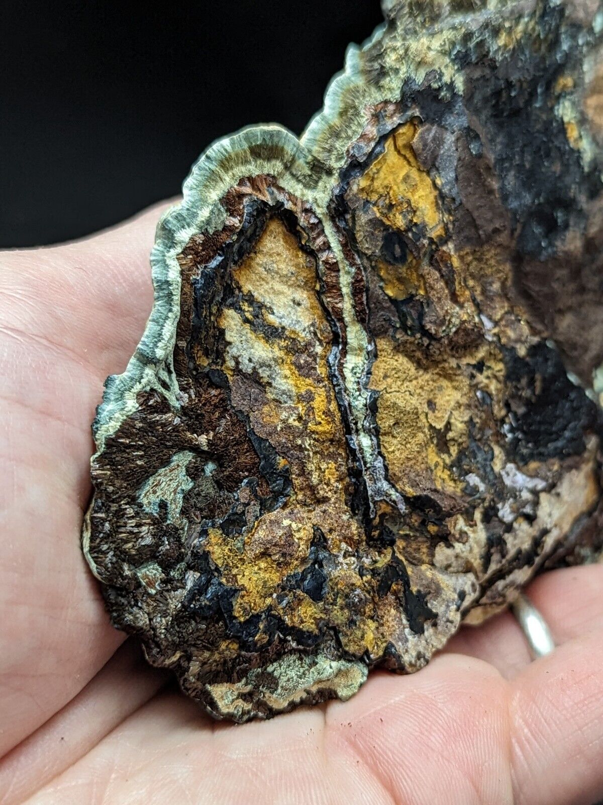Kidwellite Dufrenite Beraunite etc (VERY RARE 3 Oaks Gap Polk Co. Arkansas) - Collectibles:Rocks Fossils &