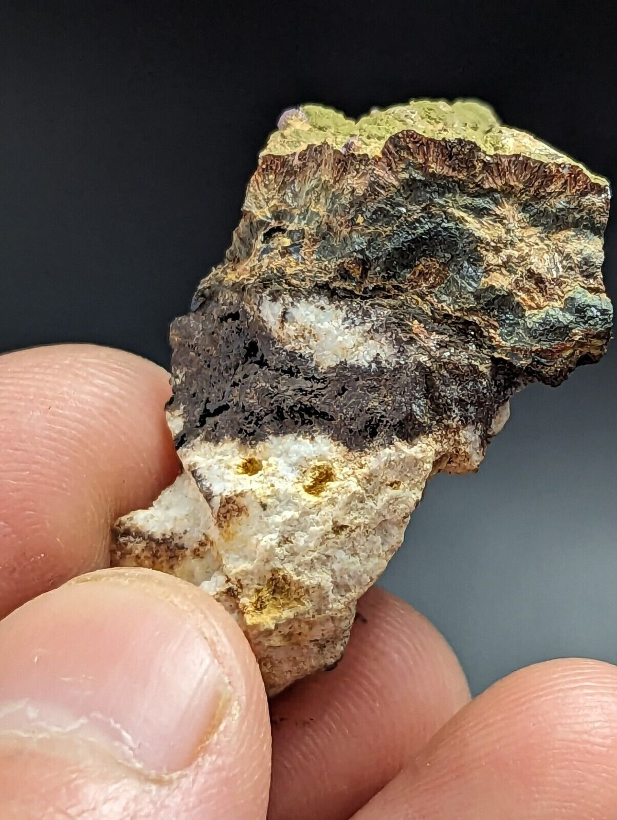 Kidwellite Strengite Eleonorite etc (VERY RARE 3 Oaks Gap Polk Co. Arkansas) - Collectibles:Rocks Fossils &