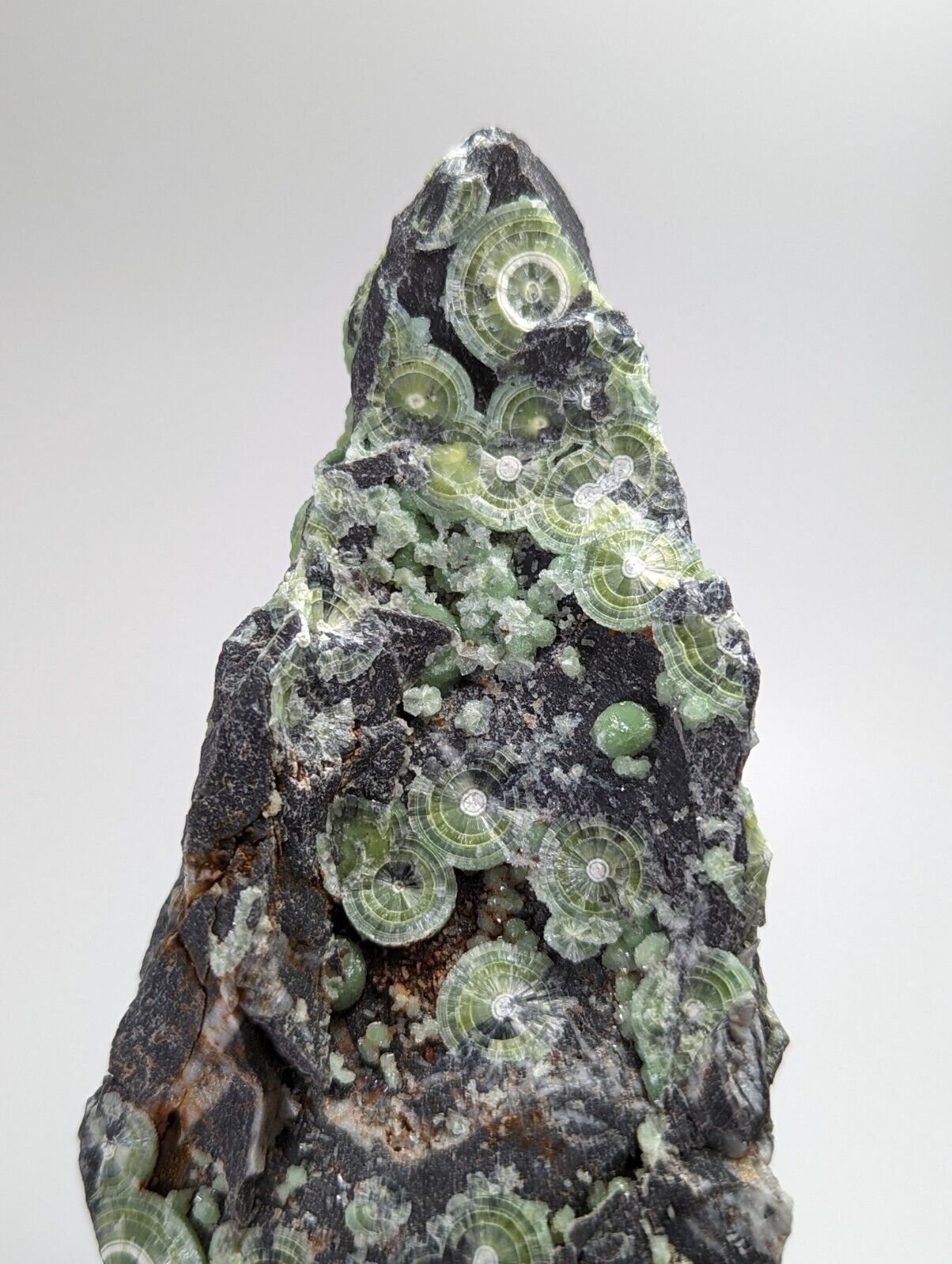 Large Wavellite - Fantastic 1990s Old Stock - Mauldin Mountain Arkansas - Collectibles:Rocks Fossils &