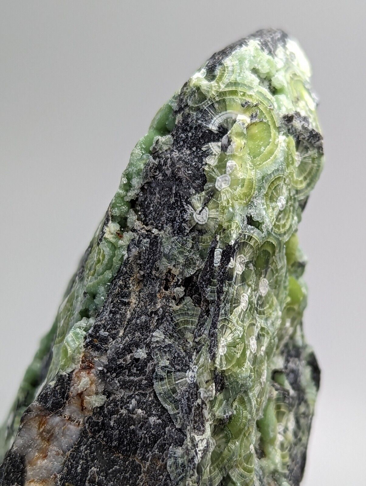Large Wavellite - Fantastic 1990s Old Stock - Mauldin Mountain Arkansas - Collectibles:Rocks Fossils &