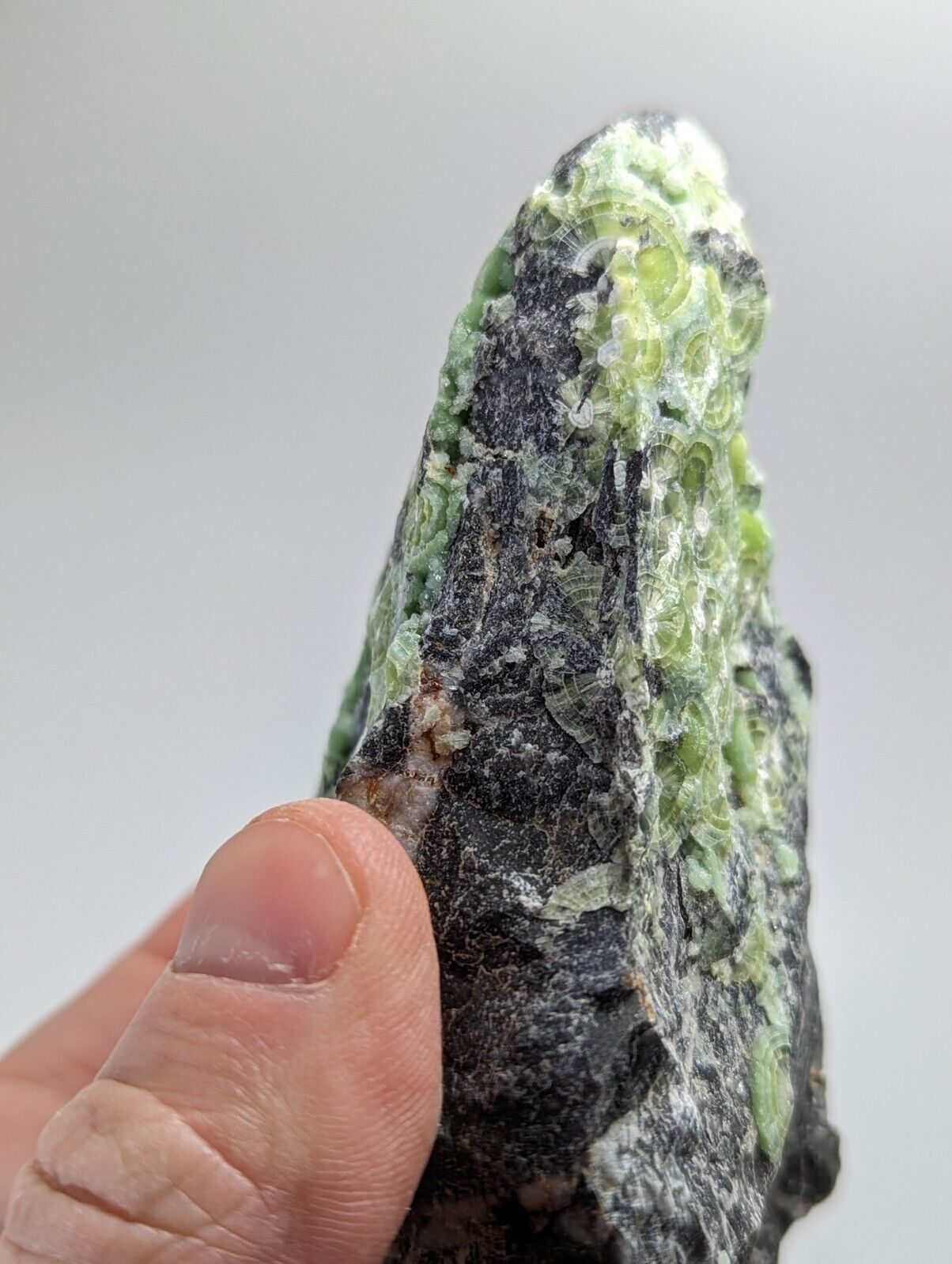 Large Wavellite - Fantastic 1990s Old Stock - Mauldin Mountain Arkansas - Collectibles:Rocks Fossils &