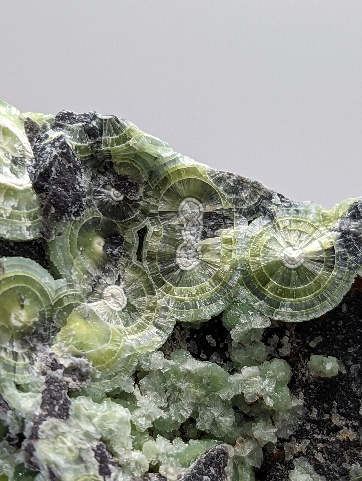 Large Wavellite - Fantastic 1990s Old Stock - Mauldin Mountain Arkansas - Collectibles:Rocks Fossils &