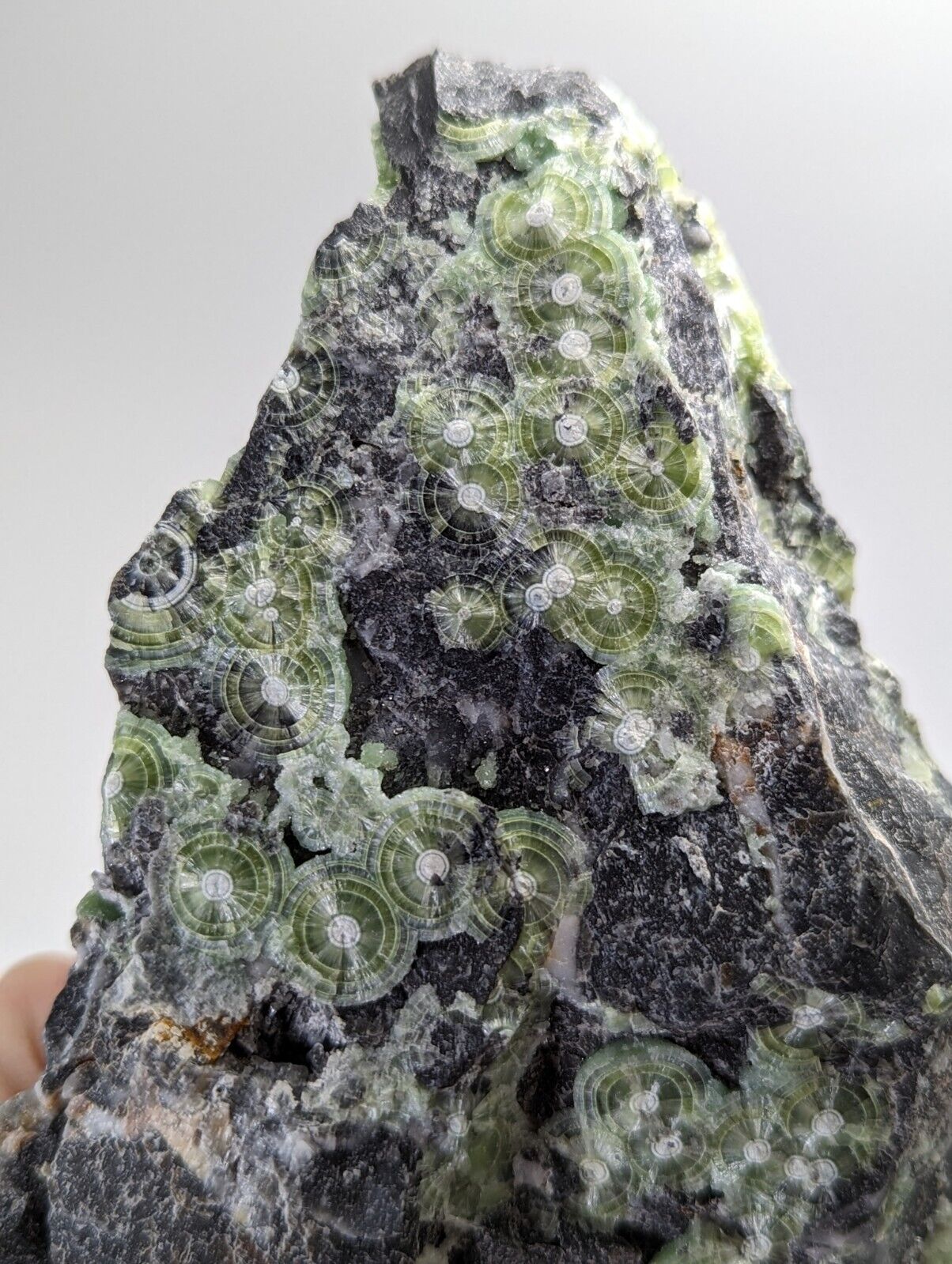 Large Wavellite - Fantastic 1990s Old Stock - Mauldin Mountain Arkansas - Collectibles:Rocks Fossils &