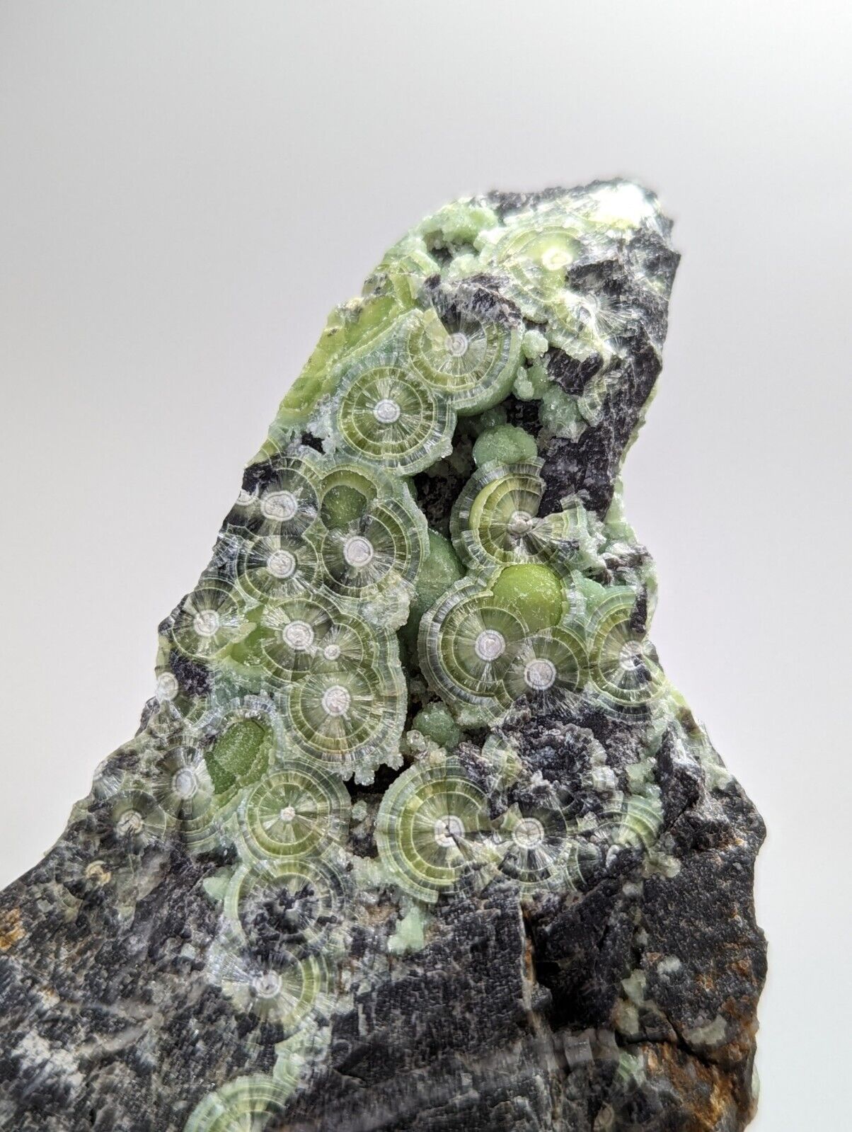 Large Wavellite - Fantastic 1990s Old Stock - Mauldin Mountain Arkansas - Collectibles:Rocks Fossils &