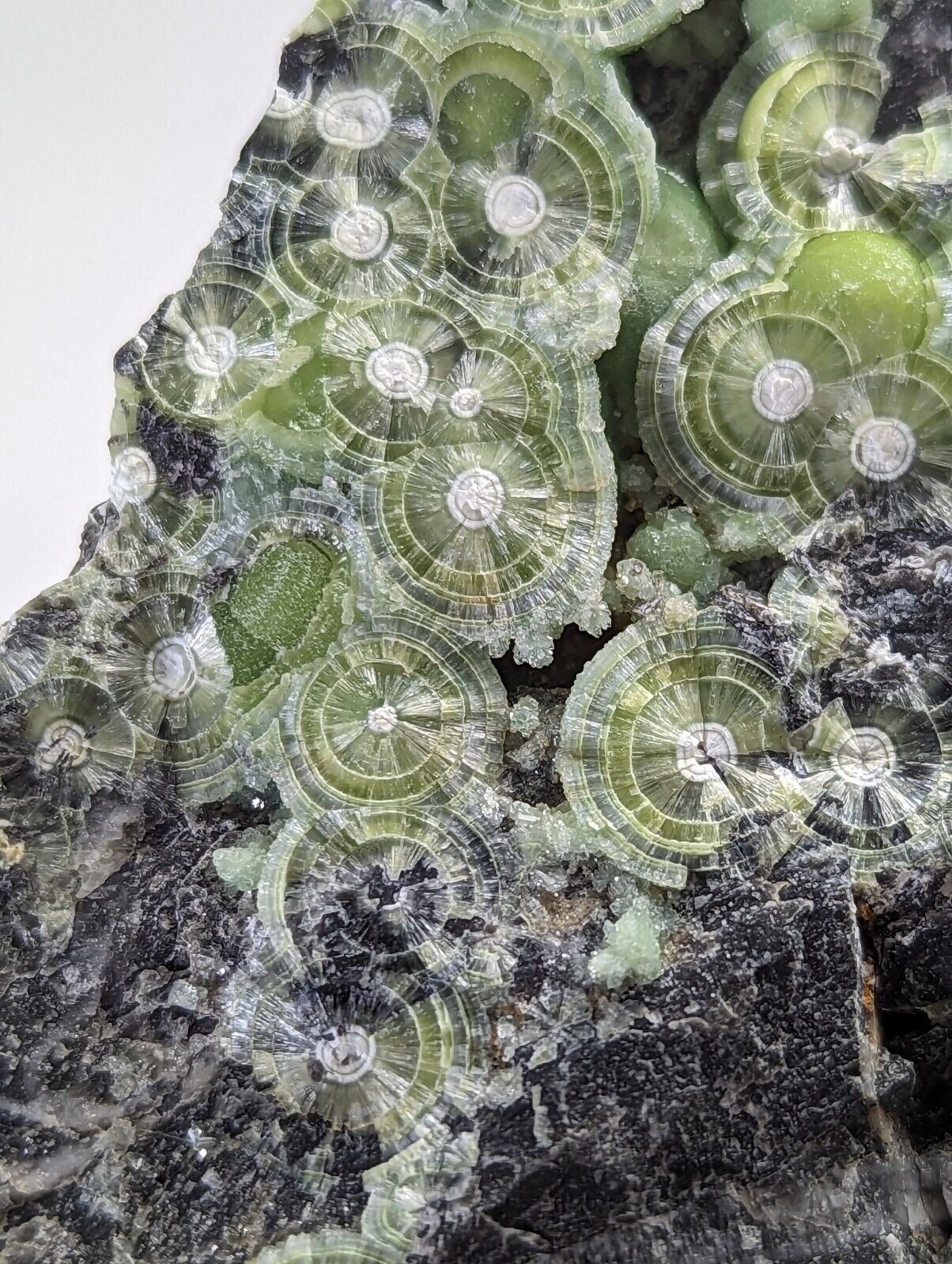 Large Wavellite - Fantastic 1990s Old Stock - Mauldin Mountain Arkansas - Collectibles:Rocks Fossils &