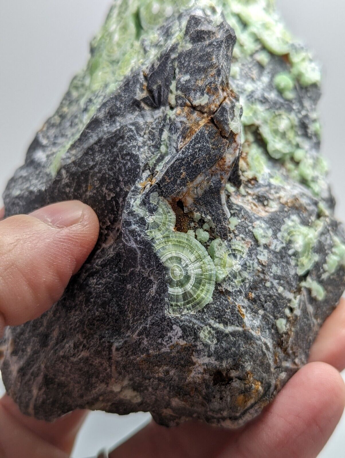 Large Wavellite - Fantastic 1990s Old Stock - Mauldin Mountain Arkansas - Collectibles:Rocks Fossils &