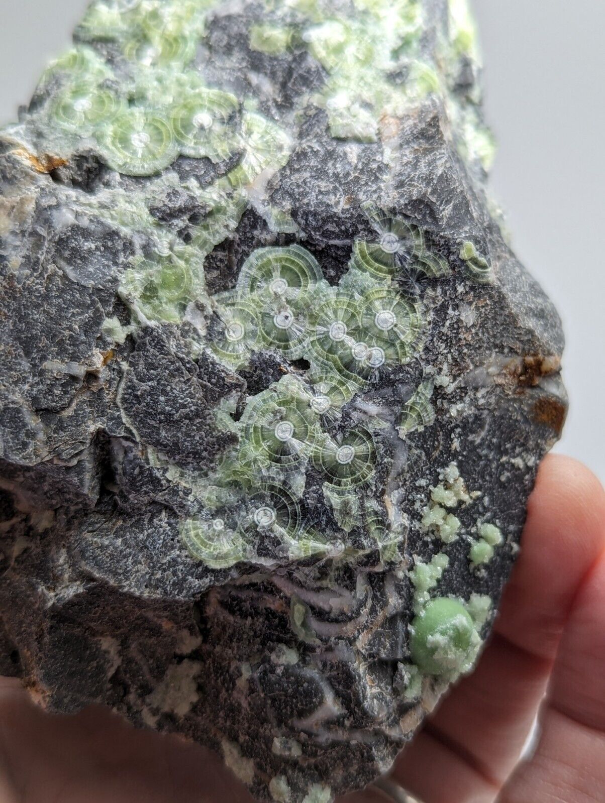Large Wavellite - Fantastic 1990s Old Stock - Mauldin Mountain Arkansas - Collectibles:Rocks Fossils &