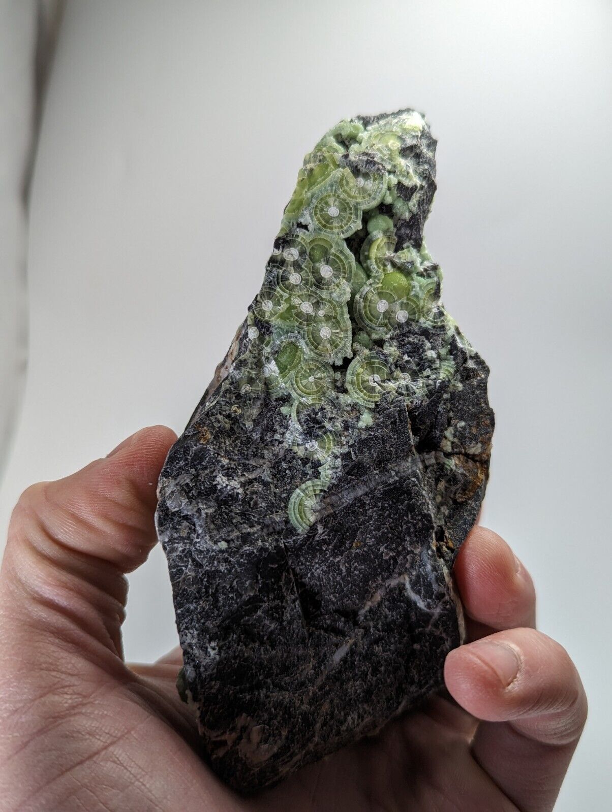 Large Wavellite - Fantastic 1990s Old Stock - Mauldin Mountain Arkansas - Collectibles:Rocks Fossils &