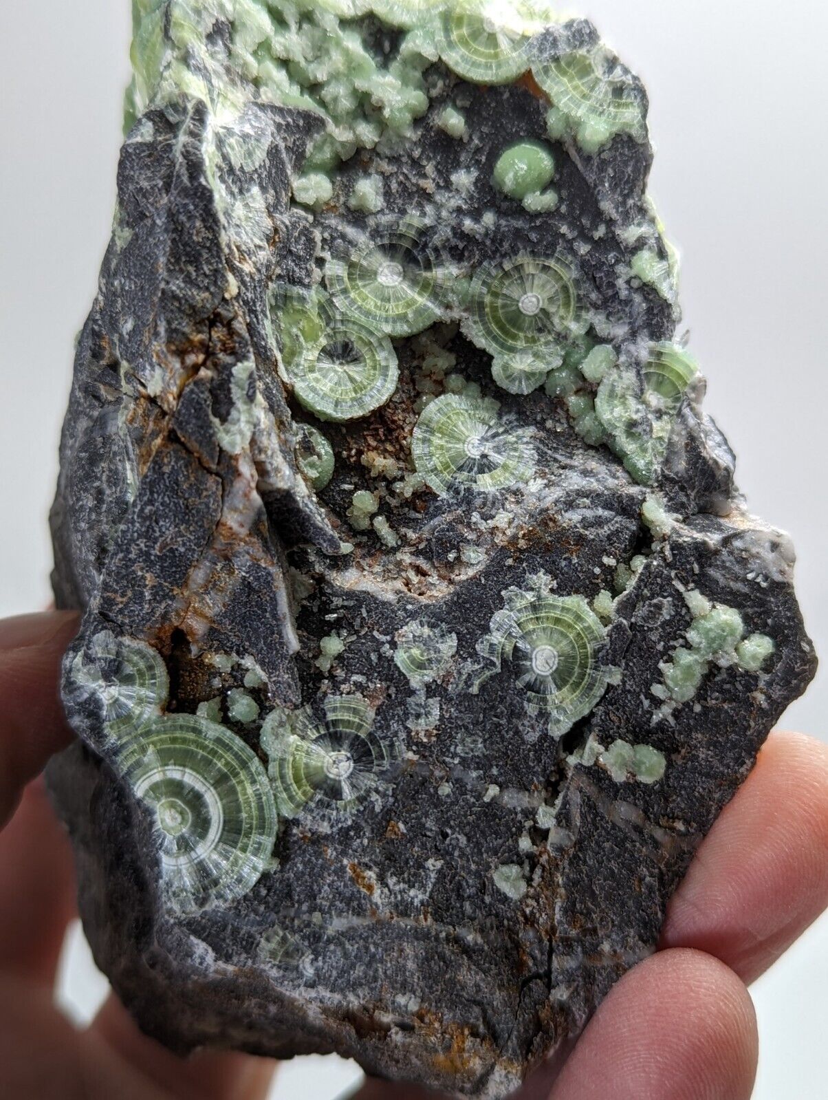 Large Wavellite - Fantastic 1990s Old Stock - Mauldin Mountain Arkansas - Collectibles:Rocks Fossils &