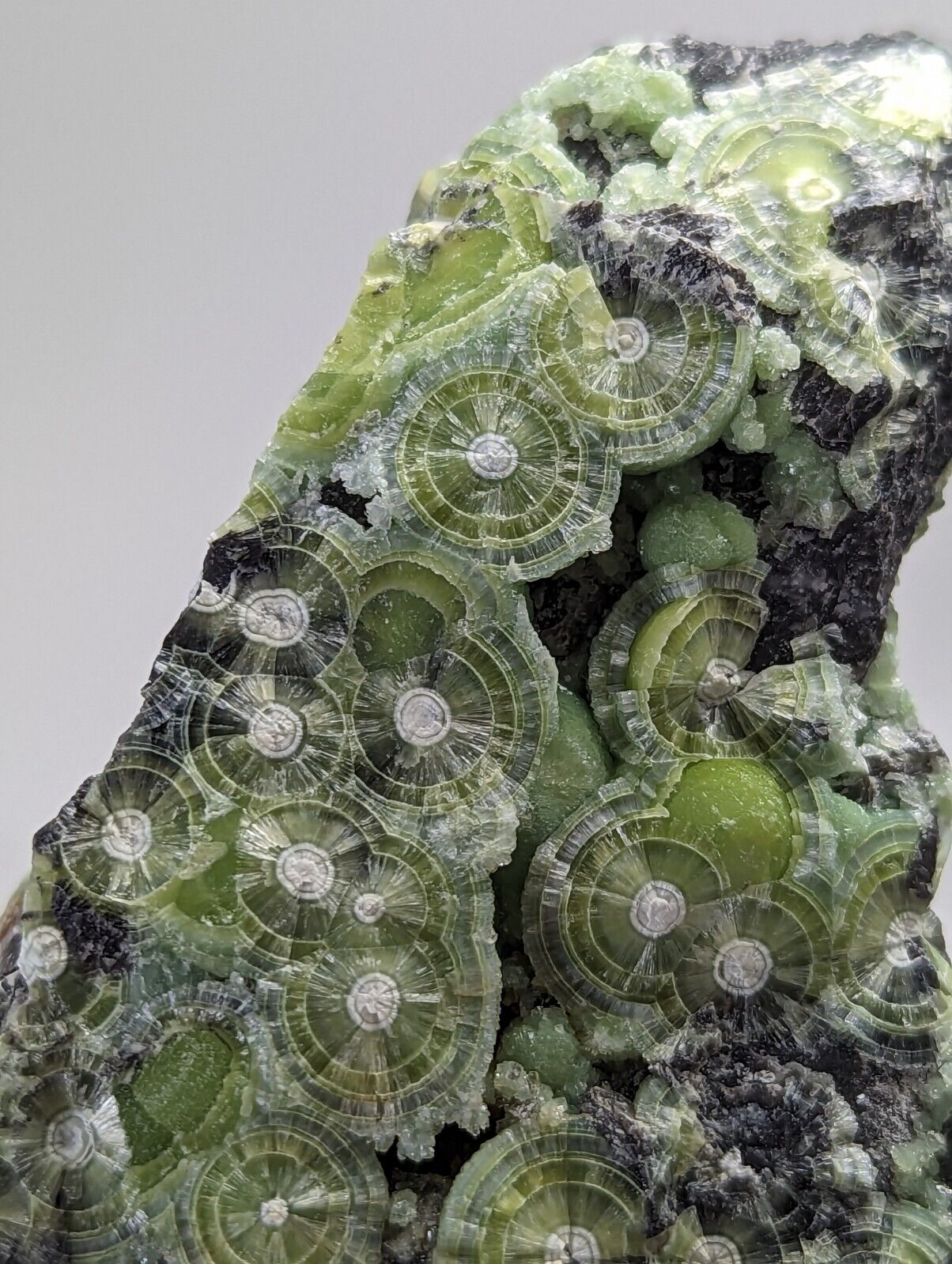 Large Wavellite - Fantastic 1990s Old Stock - Mauldin Mountain Arkansas - Collectibles:Rocks Fossils &