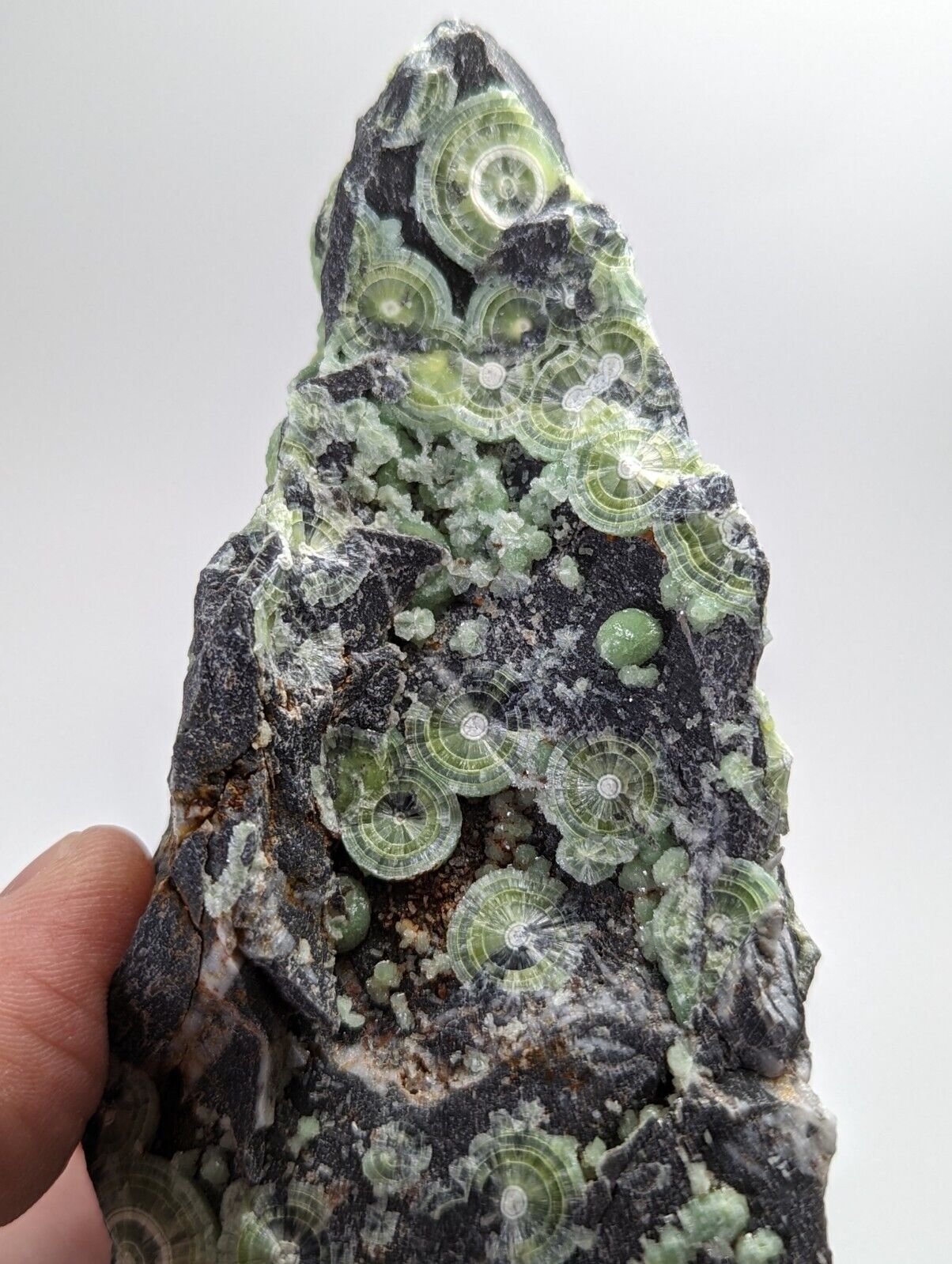 Large Wavellite - Fantastic 1990s Old Stock - Mauldin Mountain Arkansas - Collectibles:Rocks Fossils &