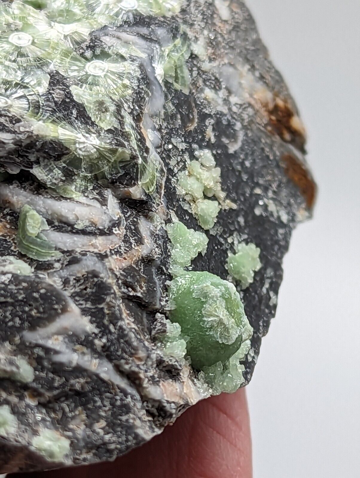 Large Wavellite - Fantastic 1990s Old Stock - Mauldin Mountain Arkansas - Collectibles:Rocks Fossils &