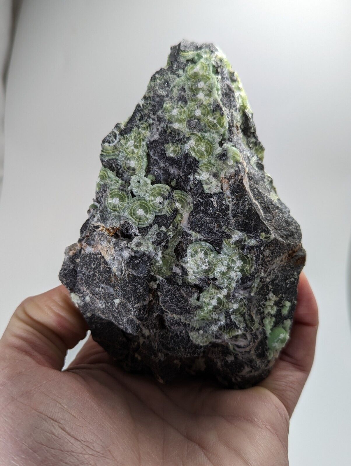Large Wavellite - Fantastic 1990s Old Stock - Mauldin Mountain Arkansas - Collectibles:Rocks Fossils &