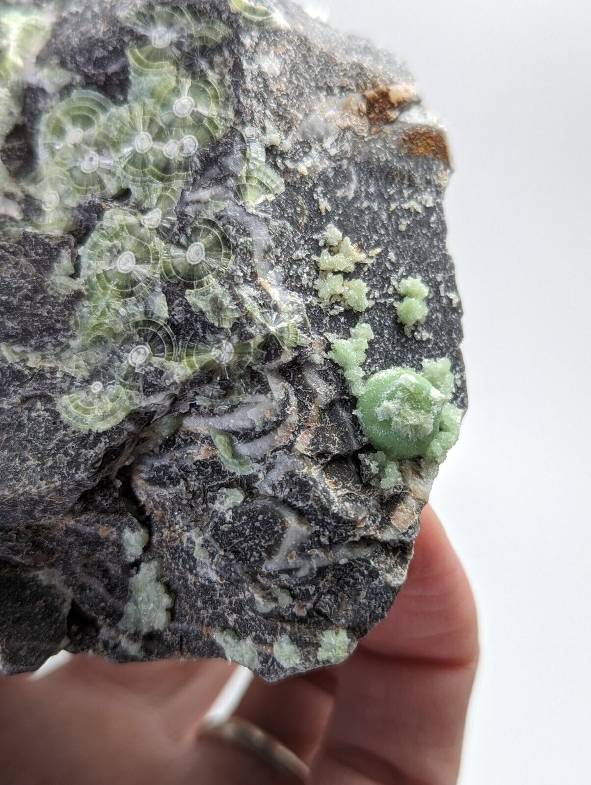 Large Wavellite - Fantastic 1990s Old Stock - Mauldin Mountain Arkansas - Collectibles:Rocks Fossils &