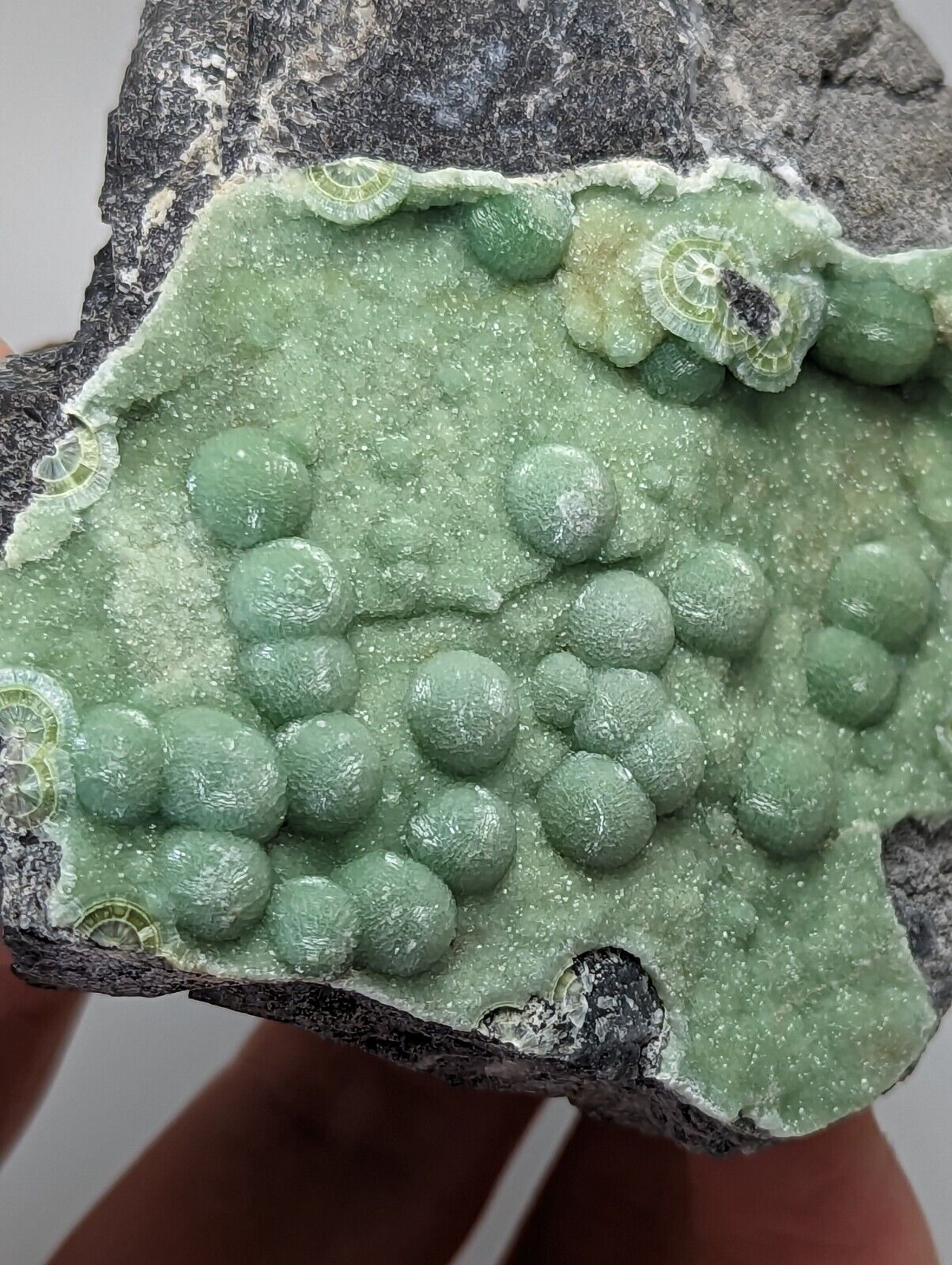 Large Wavellite - Fantastic Old Stock - Mauldin Mountain Arkansas - Collectibles:Rocks Fossils & Minerals:Crystals