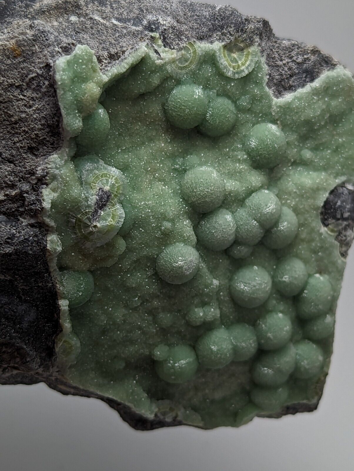 Large Wavellite - Fantastic Old Stock - Mauldin Mountain Arkansas - Collectibles:Rocks Fossils & Minerals:Crystals