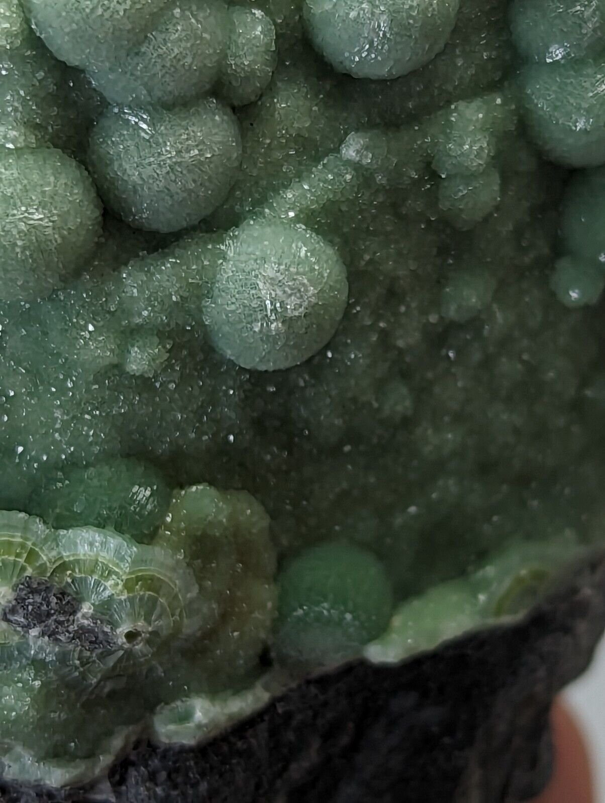 Large Wavellite - Fantastic Old Stock - Mauldin Mountain Arkansas - Collectibles:Rocks Fossils & Minerals:Crystals