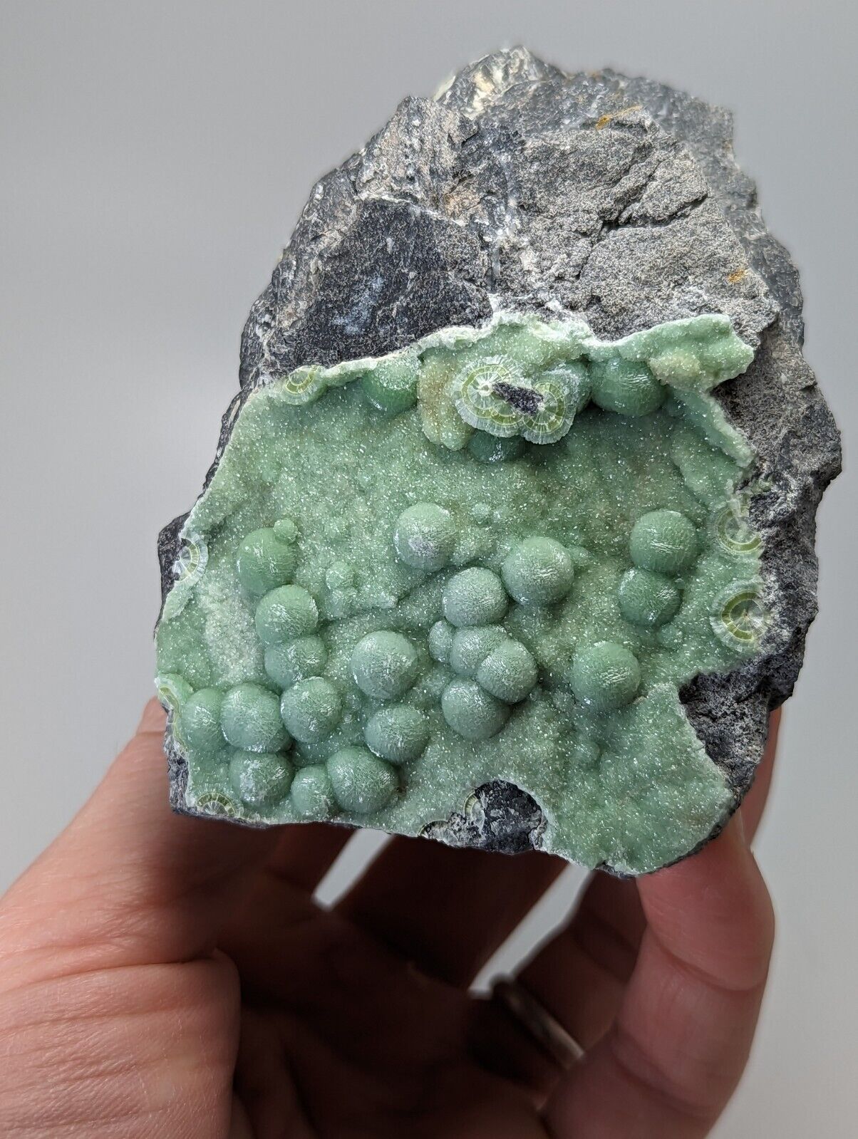 Large Wavellite - Fantastic Old Stock - Mauldin Mountain Arkansas - Collectibles:Rocks Fossils & Minerals:Crystals